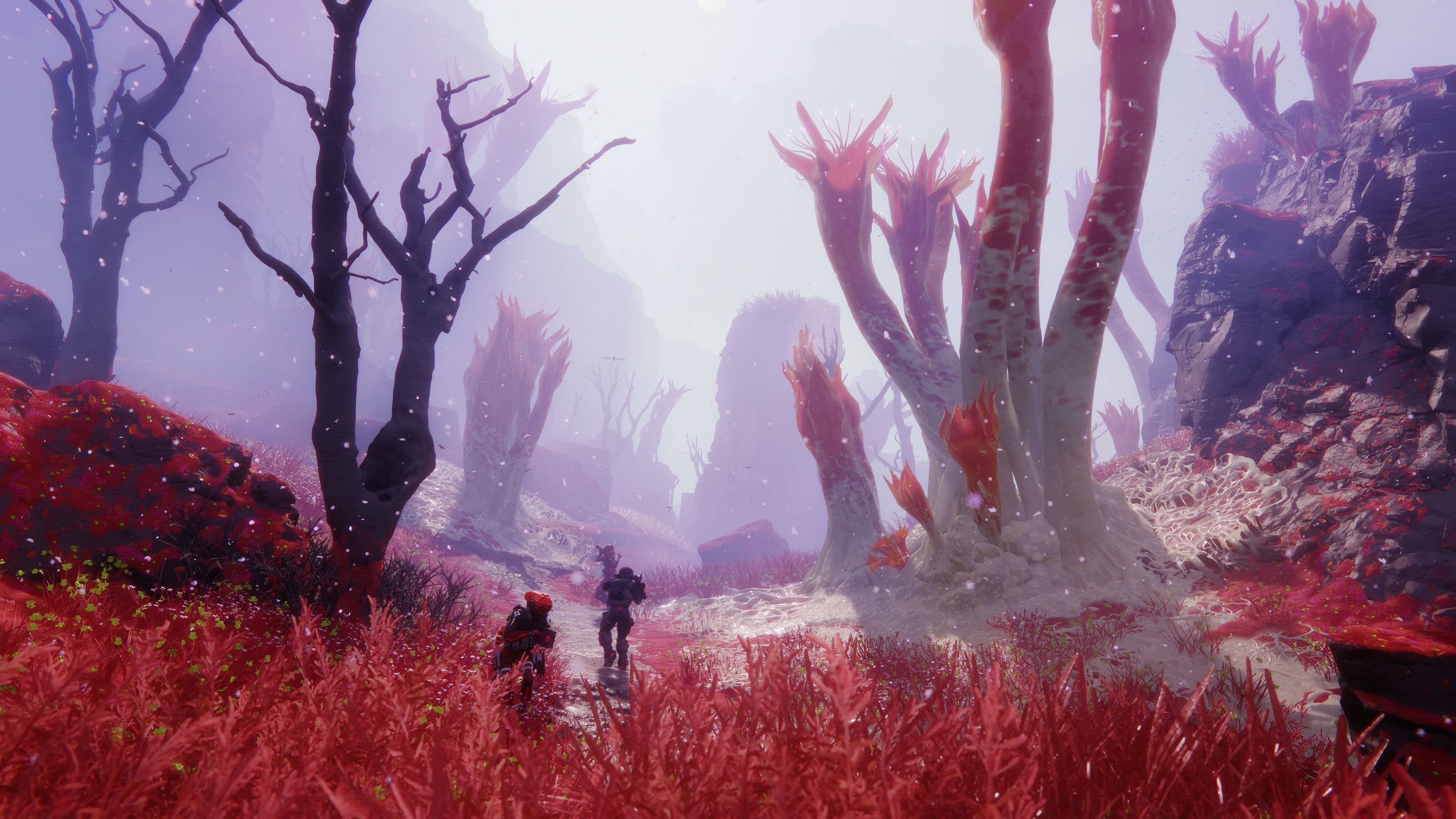 Perimeter’s new fungal landscape in Marathon