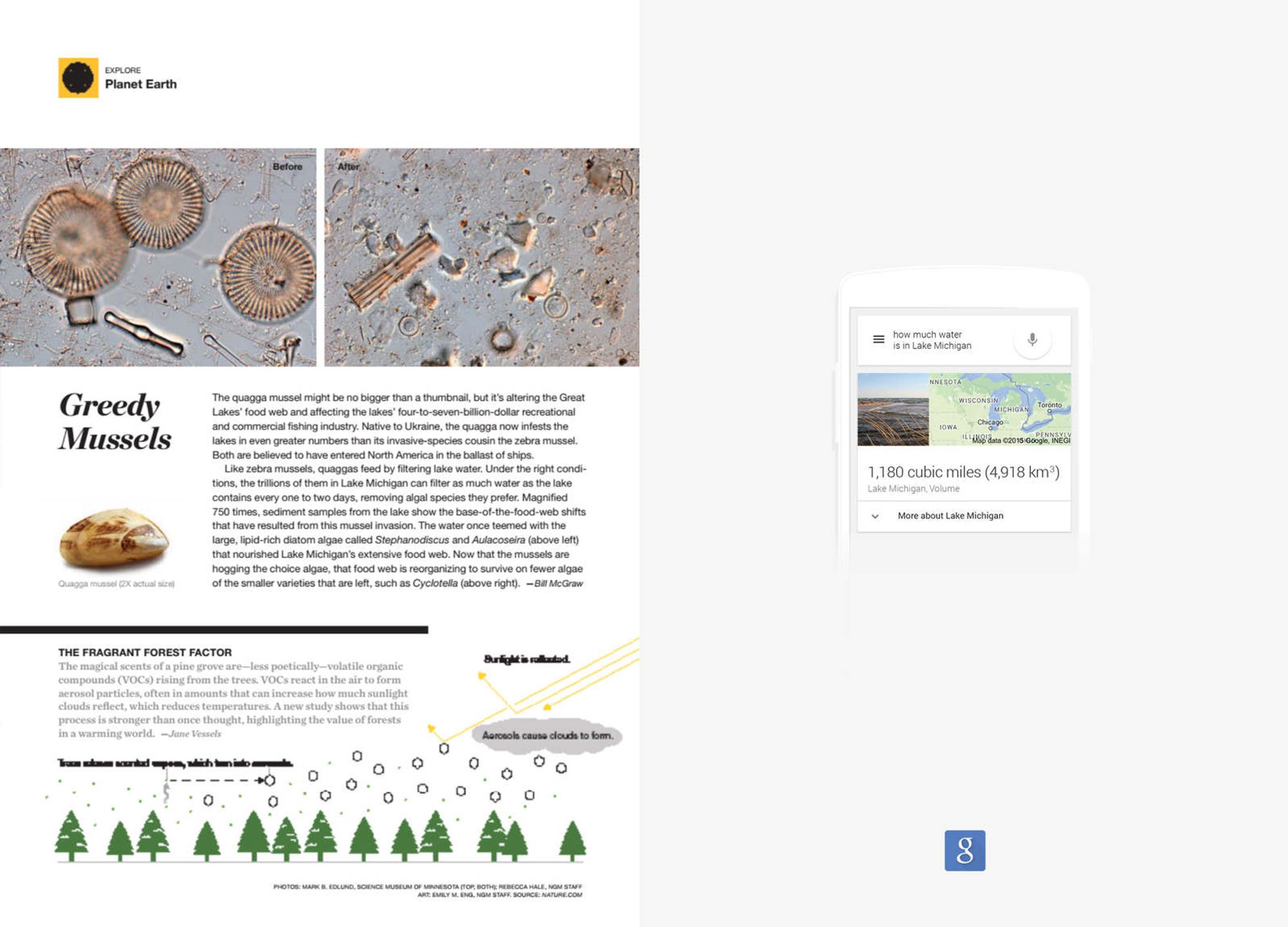 Google Questions by Christian Lopez