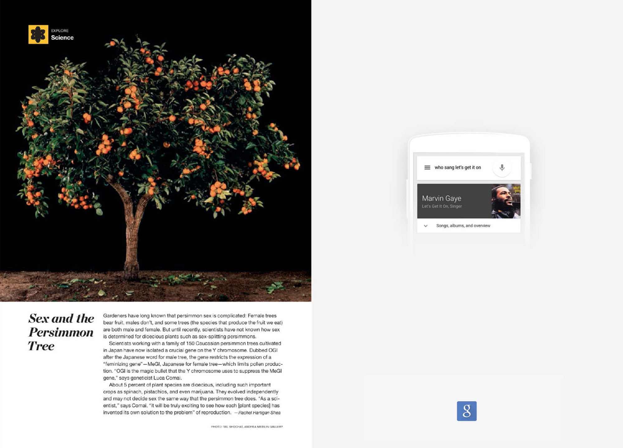 Google Questions by Christian Lopez