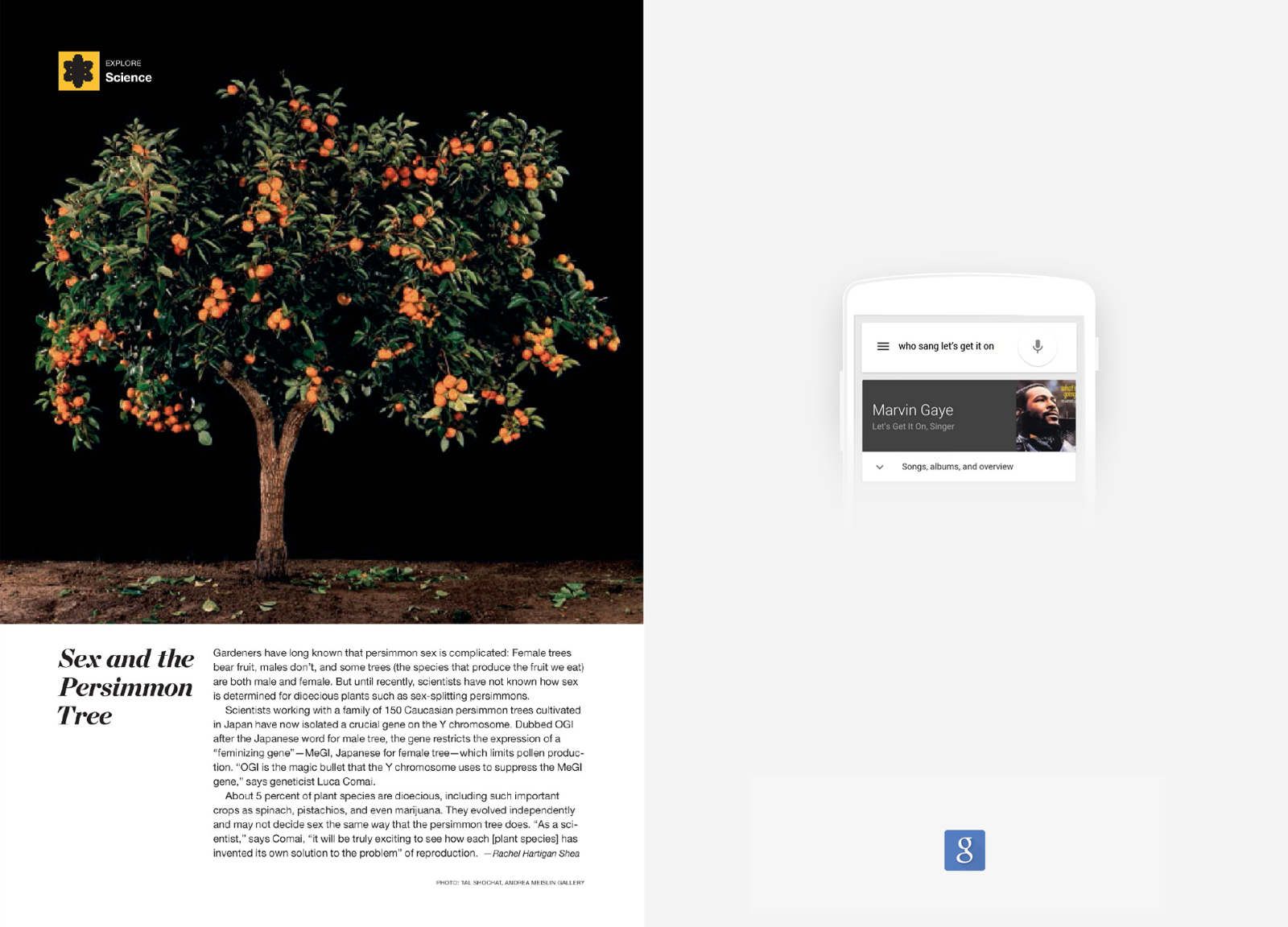 Google Questions by Christian Lopez