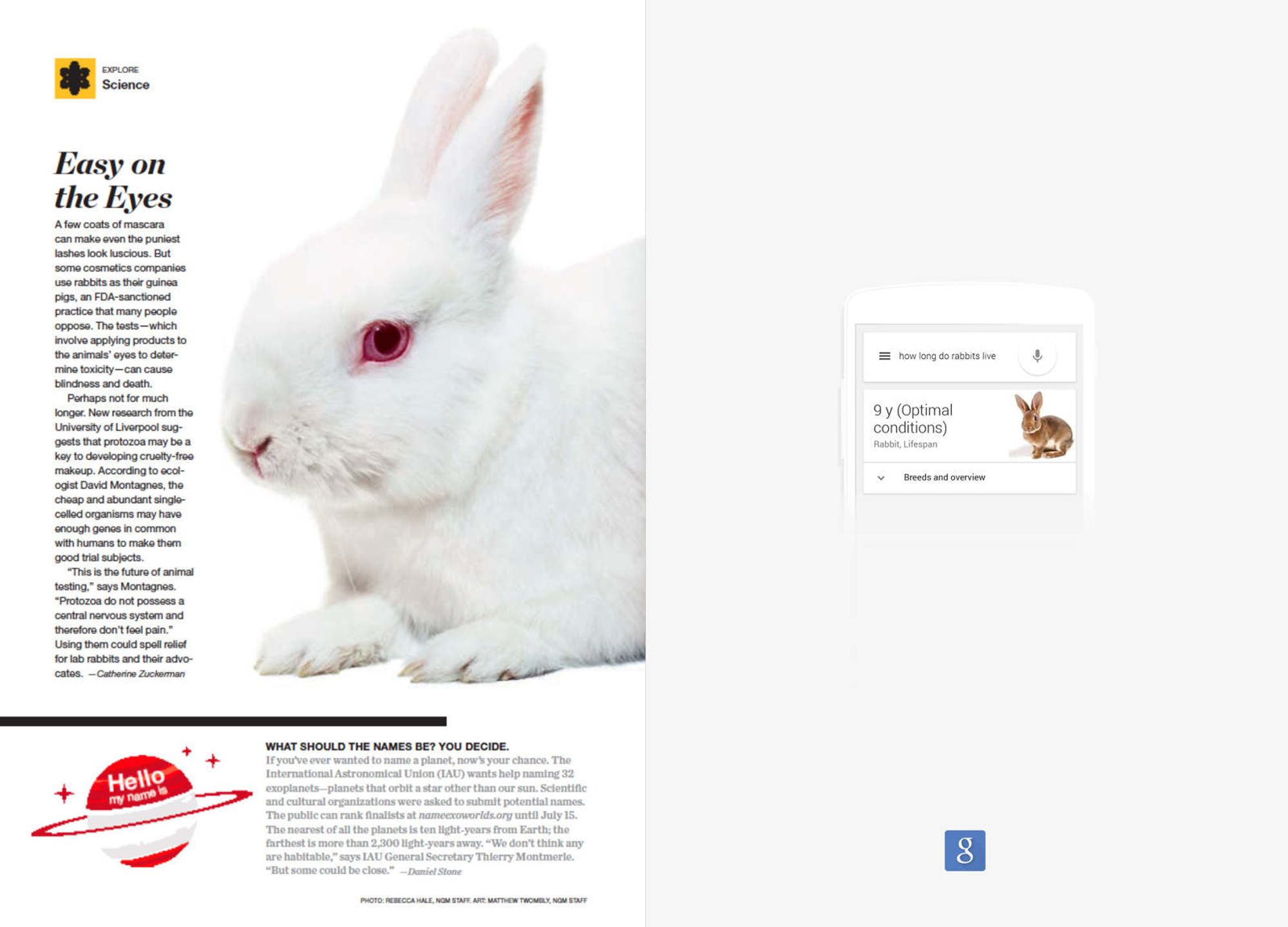 Google Questions by Christian Lopez