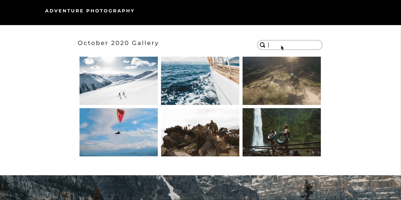 MediaSilo Spotlight photo gallery page with a search bar above the image grid
