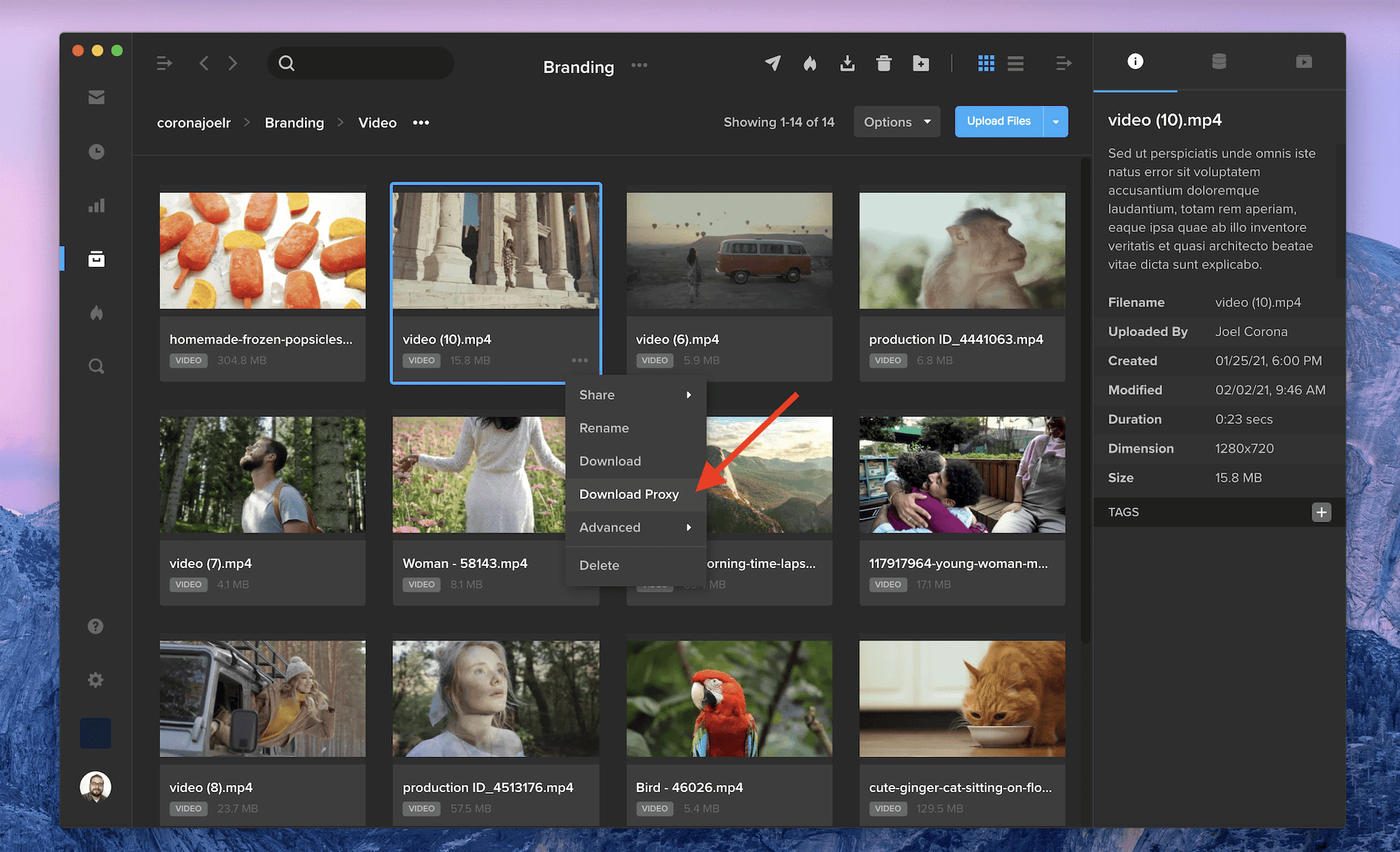MediaSilo right-click menu on a video file with the Download Proxy option highlighted