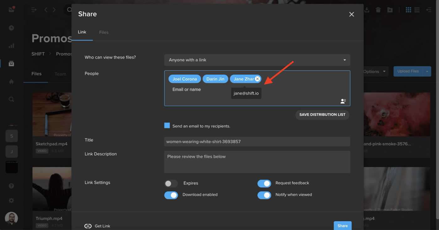 MediaSilo Share window with a hover tooltip revealing a recipient's email address