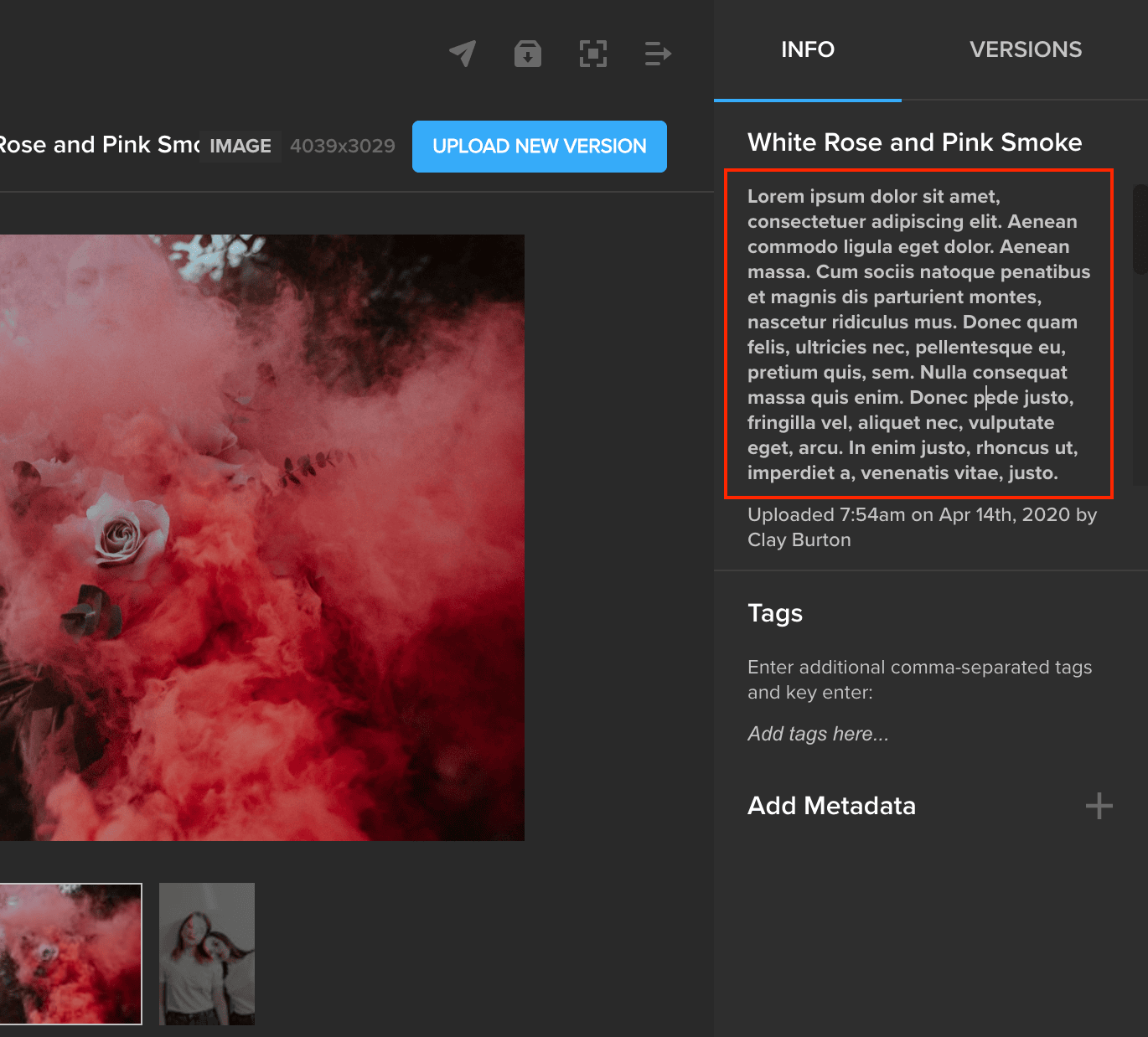 MediaSilo Info panel with a long file description highlighted, showing extended character support