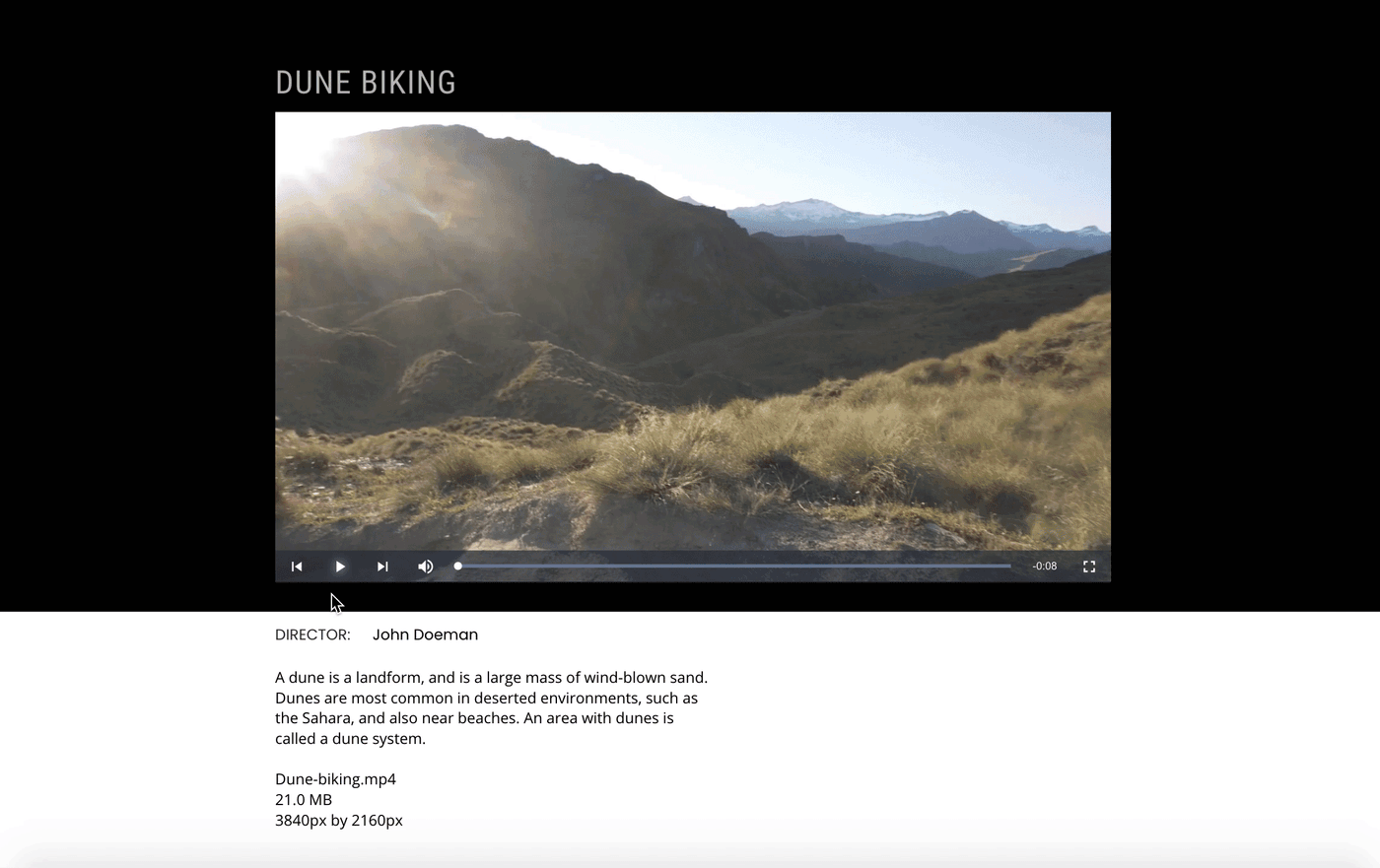 MediaSilo Spotlight presentation with dynamic text showing the video title, director and file details