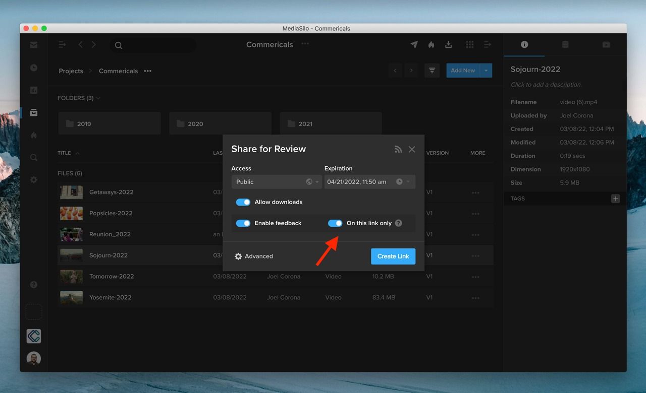 MediaSilo Share for Review dialog with the On this link only toggle turned on
