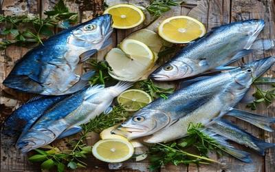 Blue Fish vs White Fish