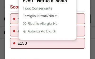 Guida Additivi Alimentari E, INS: Cosa Sono e Rischi | App Luminatens