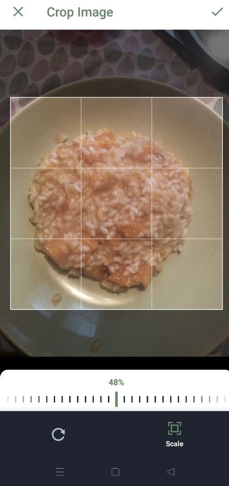  Luminatens app screen showing the user cropping a photo of tomato risotto before nutritional analysis.