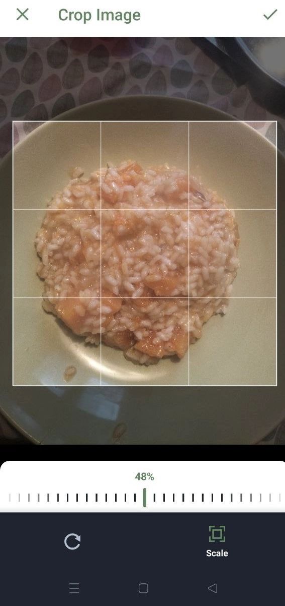 Luminatens app screen showing the user cropping a photo of tomato risotto before nutritional analysis.