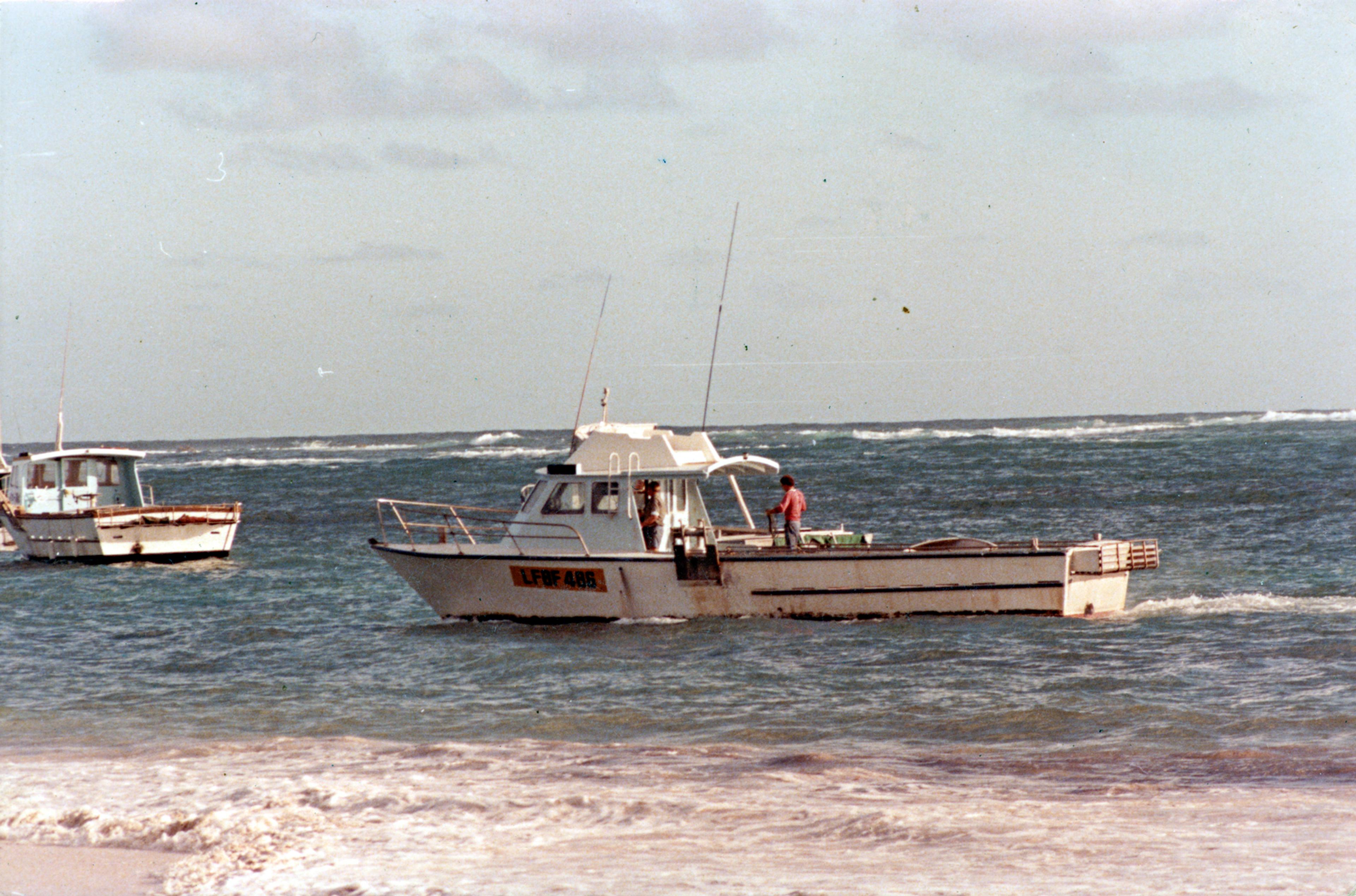 Margurita V