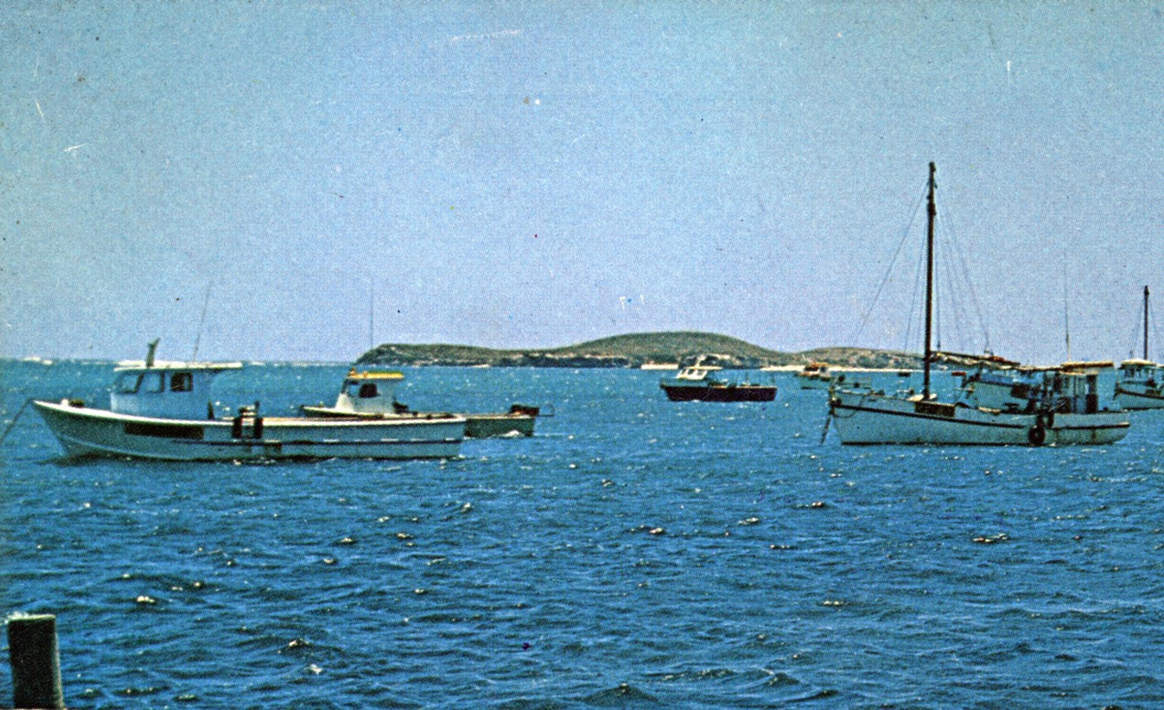 Margurita IV