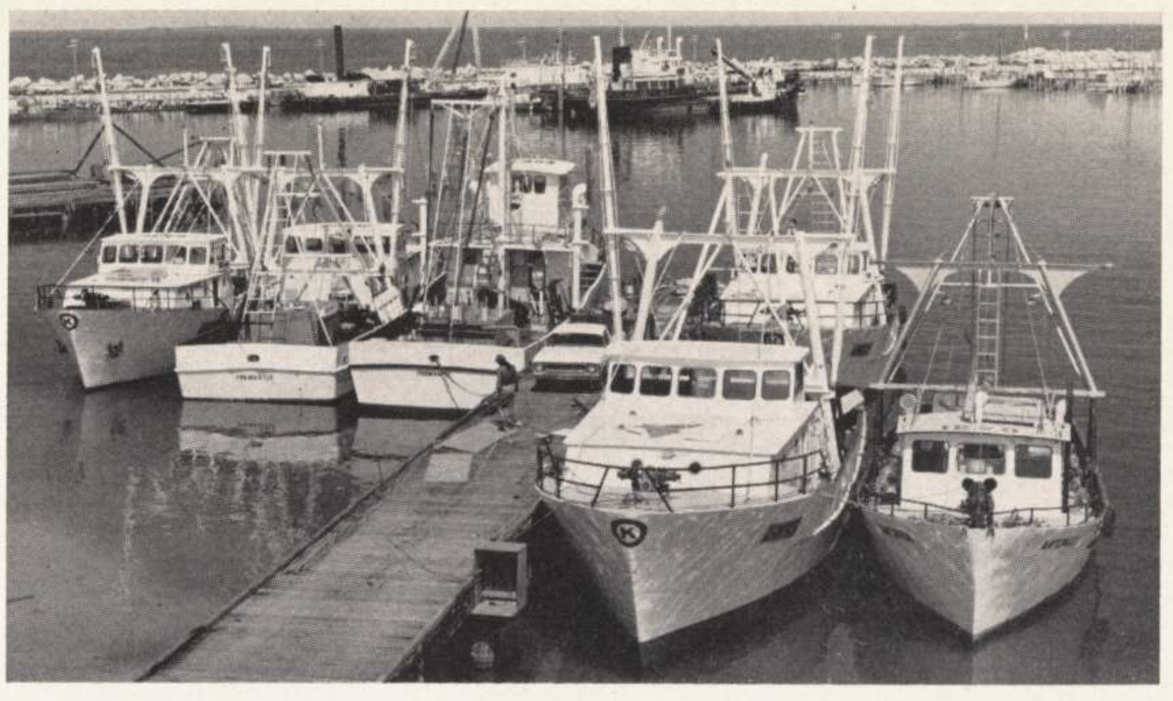 "K" Class Trawlers in Fremantle