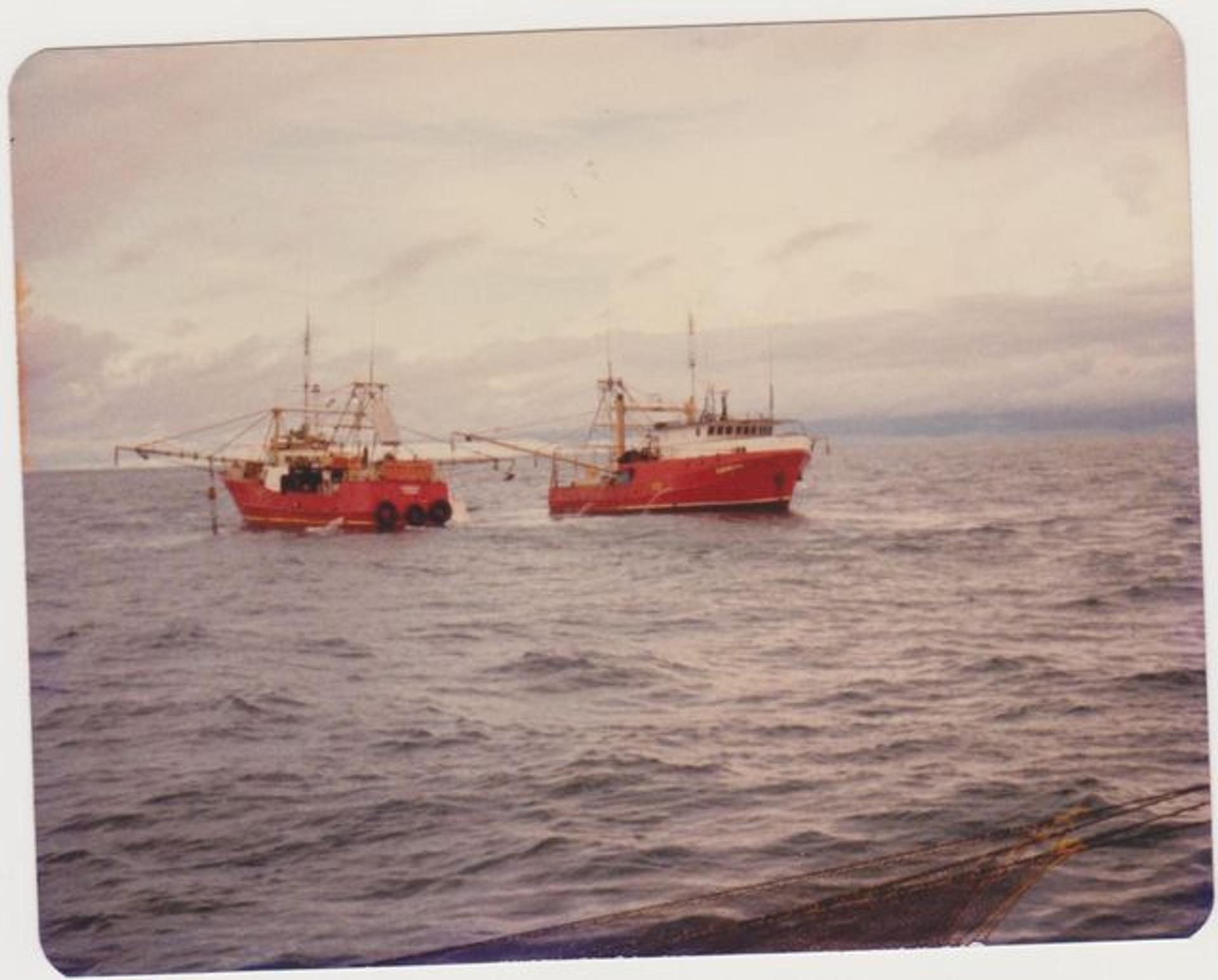 Photo of Gemini and Shenton Bluff