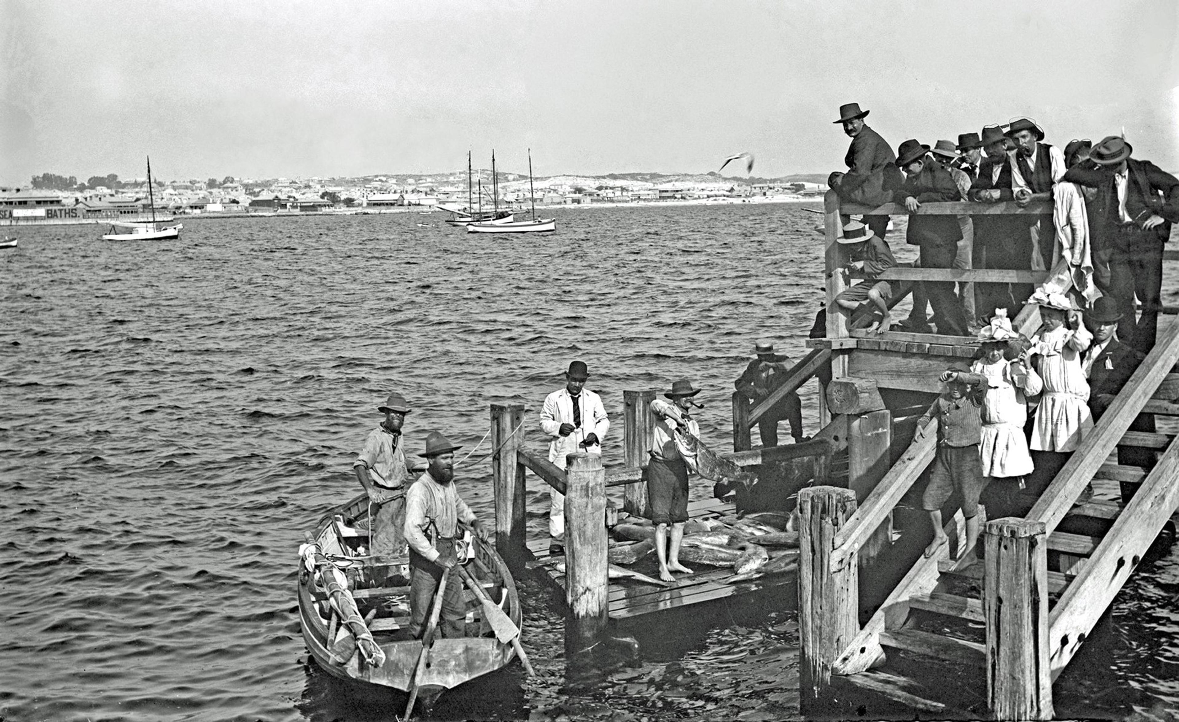 Unloading the catch of the Day 1905 South Jetty Fishing Boat Harbour Fremantle