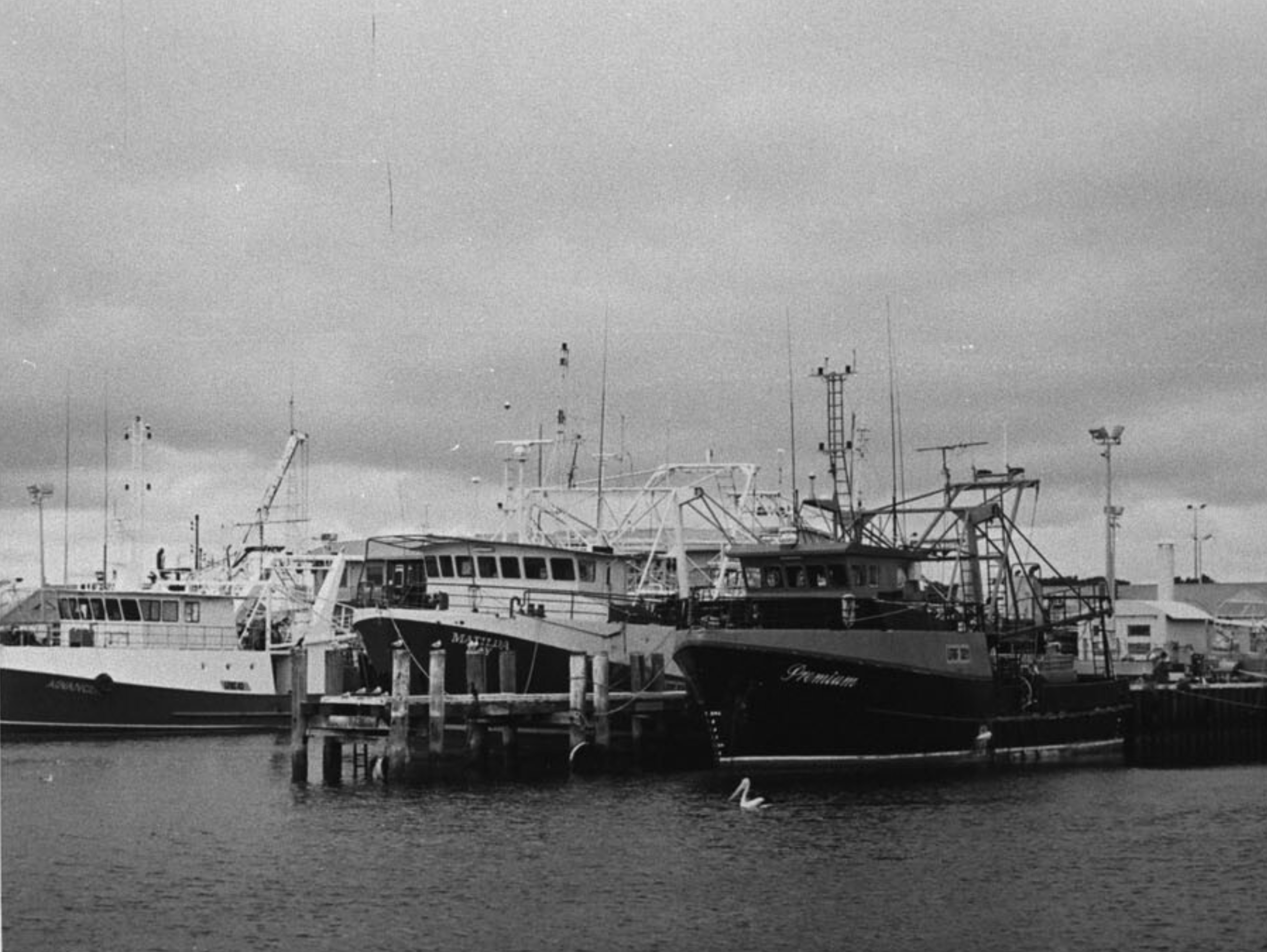 Trawlers in Fremantle