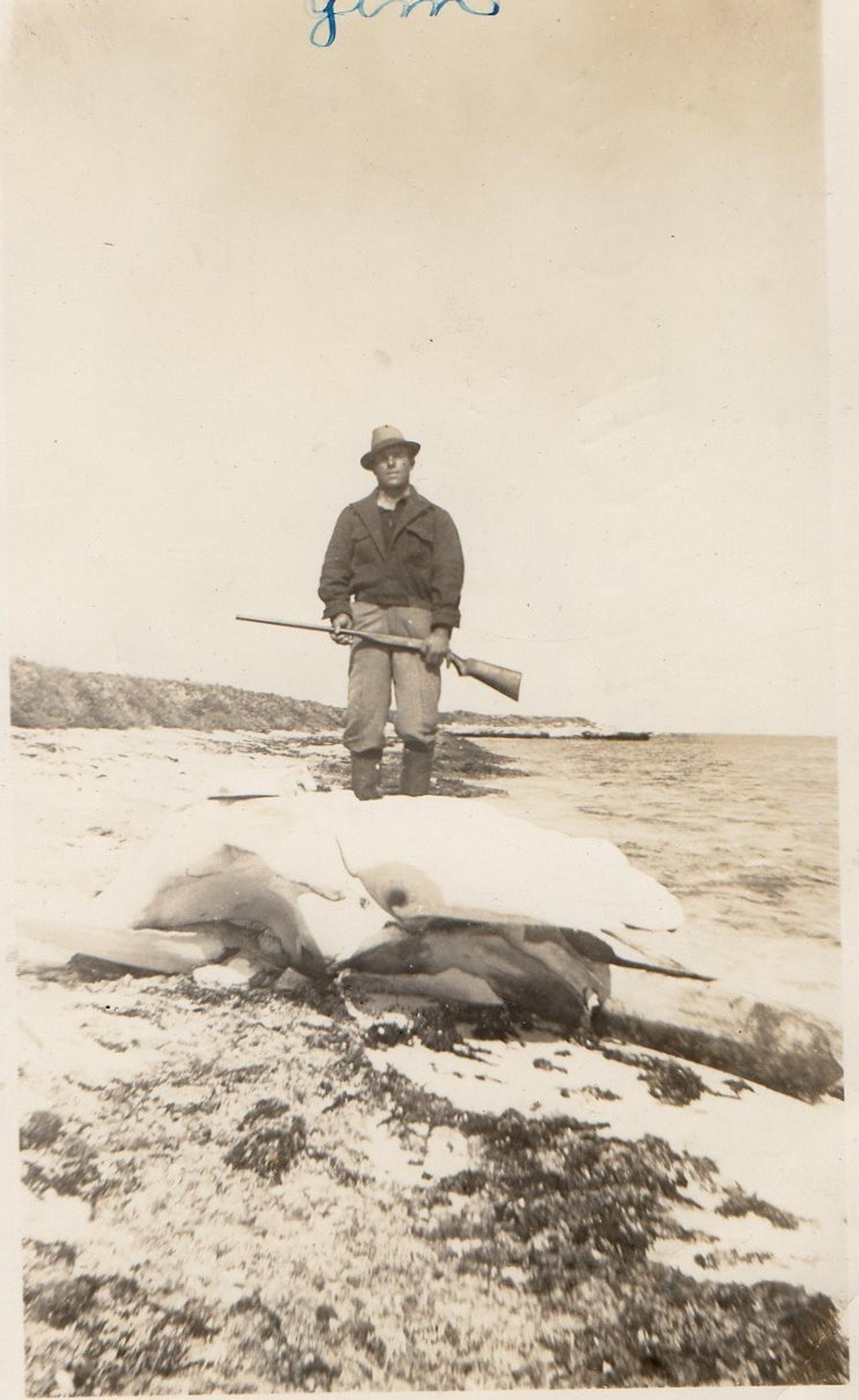 Jim Iannello Rat Island