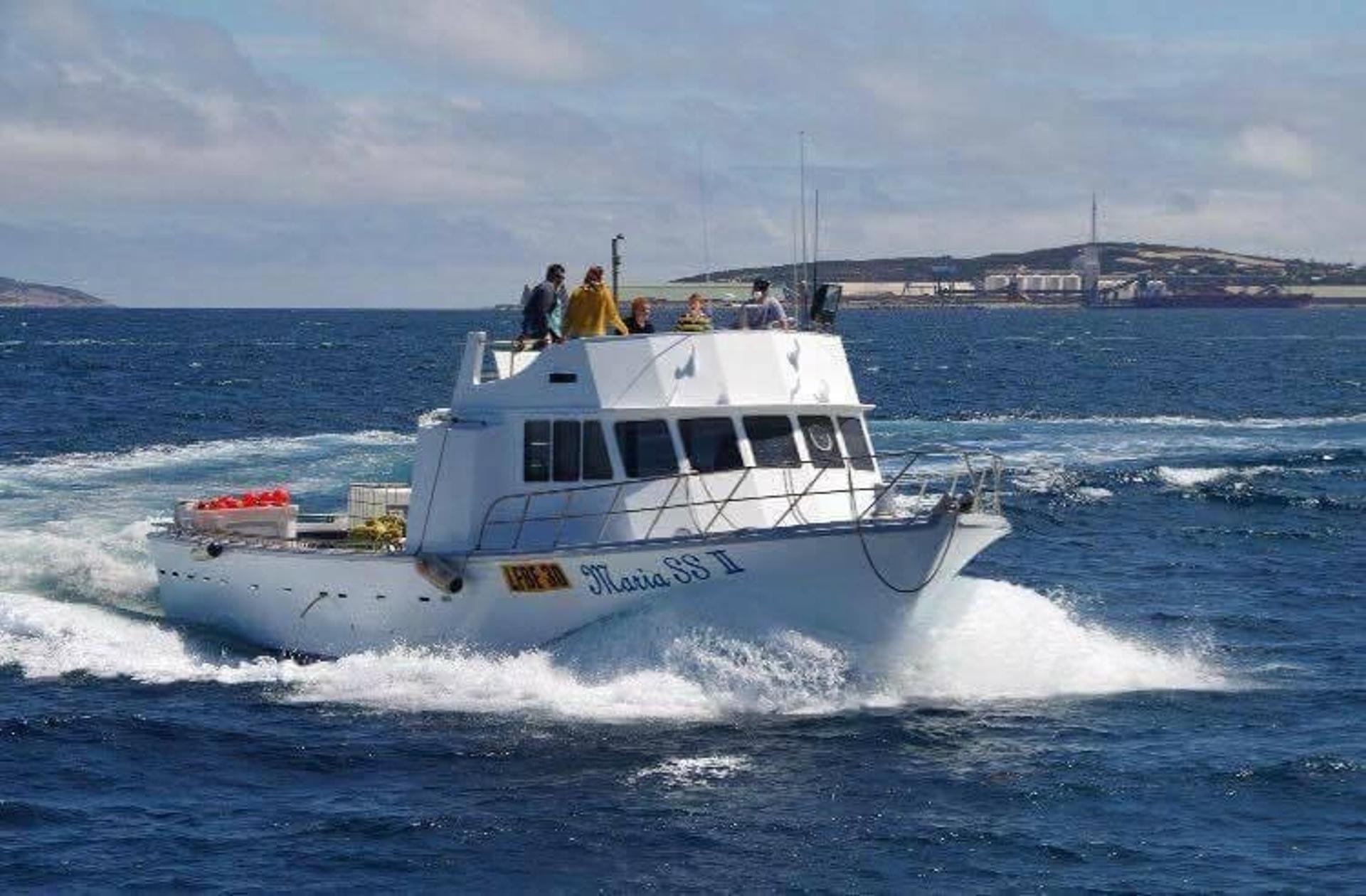 Maria SS II