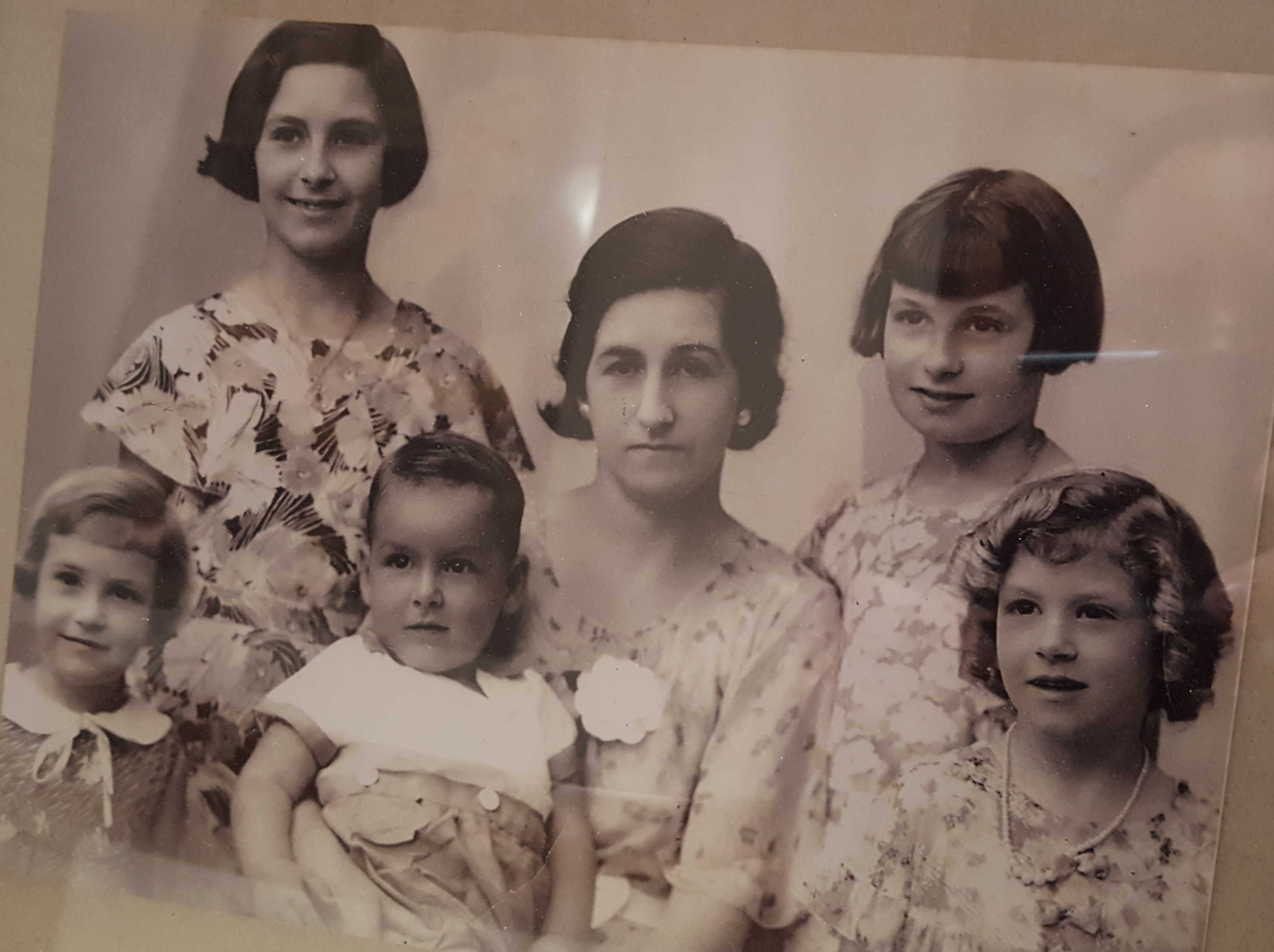 Stella Vinci Family