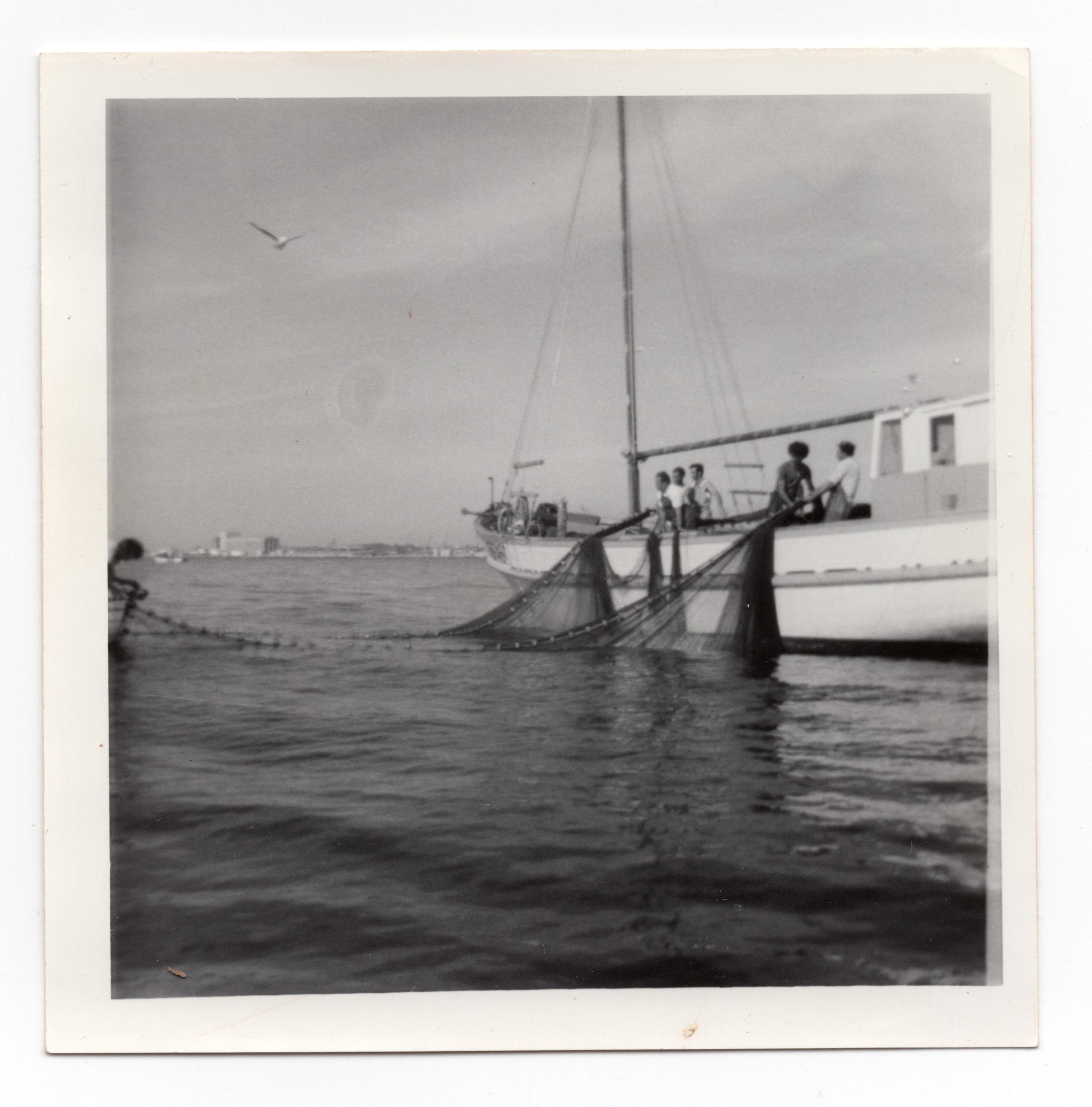 Giuliano II Net fishing
