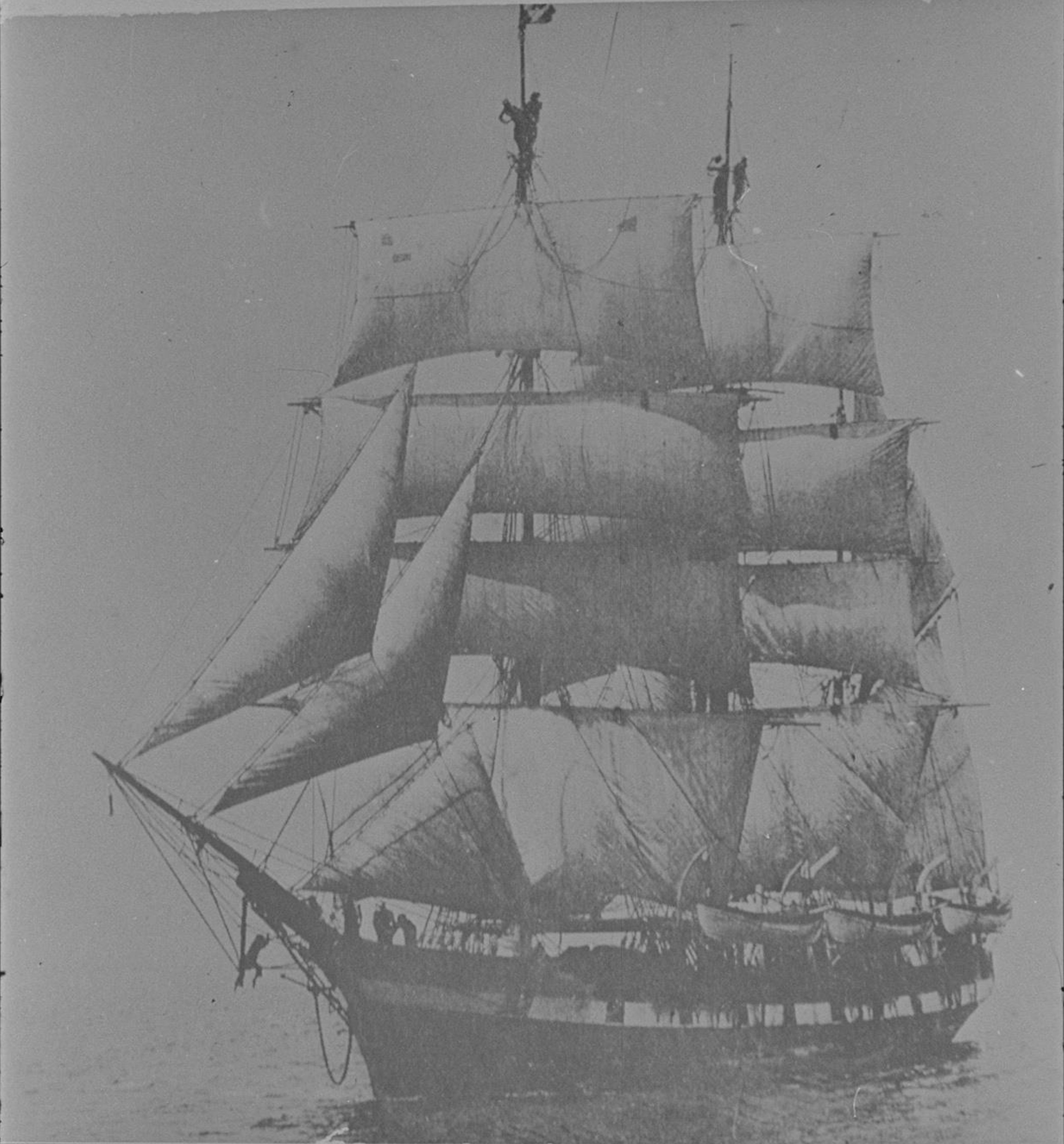 American Barque