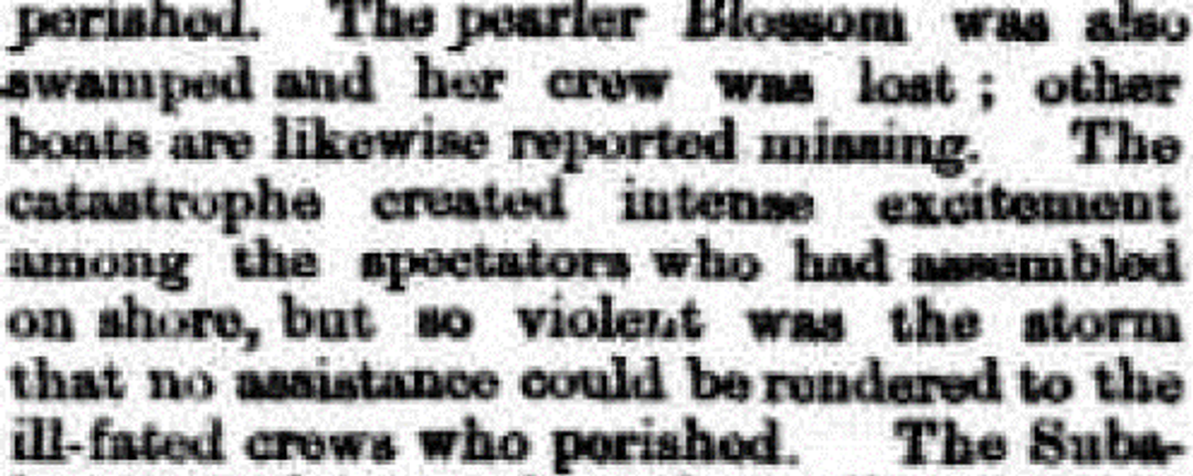 The Inquirer and Commercial News, Wednesday 12 January 1876