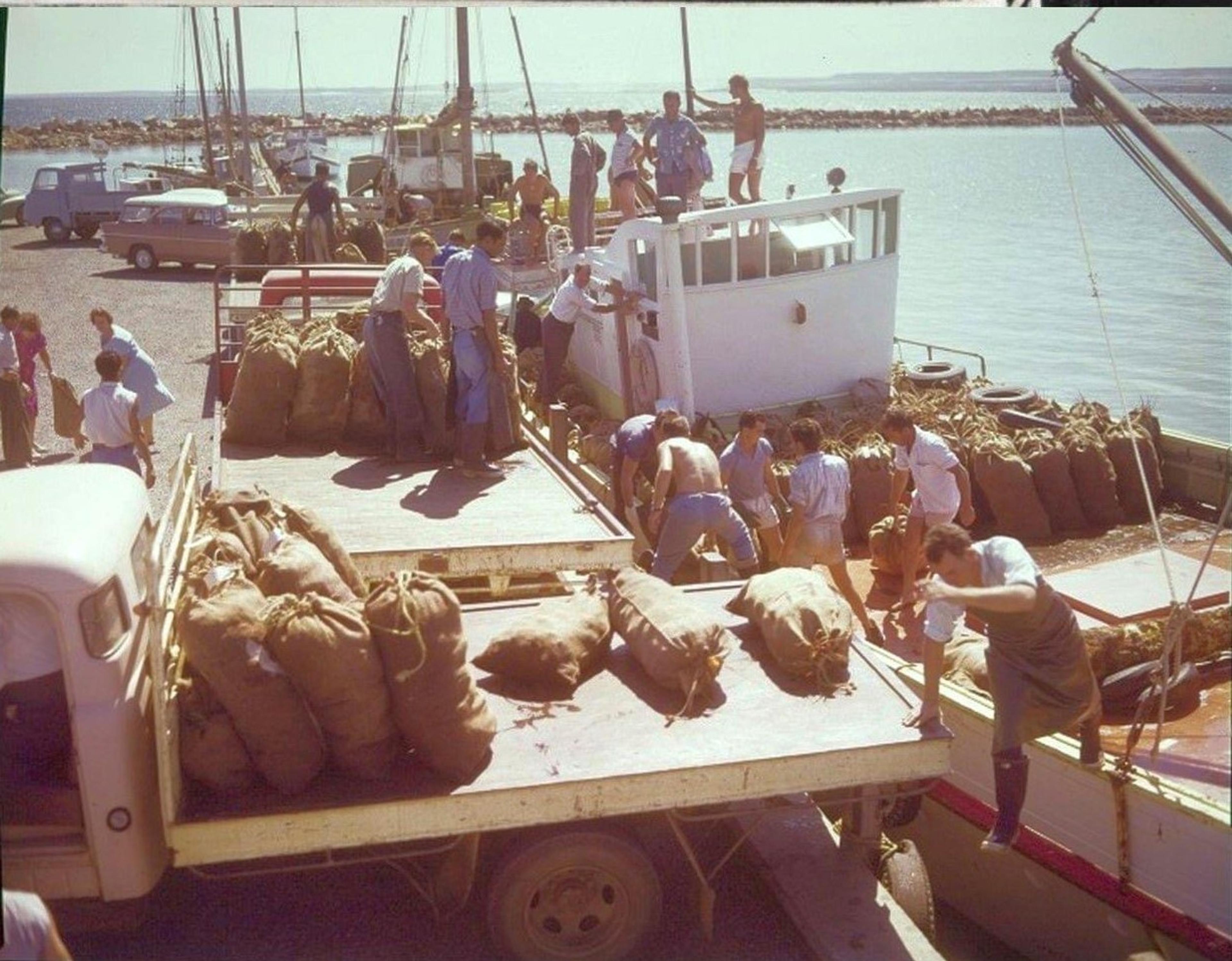 Lady Joyous 1962 Geraldton Fishing Boat Harbour