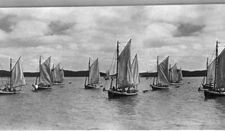 Fleet of luggers