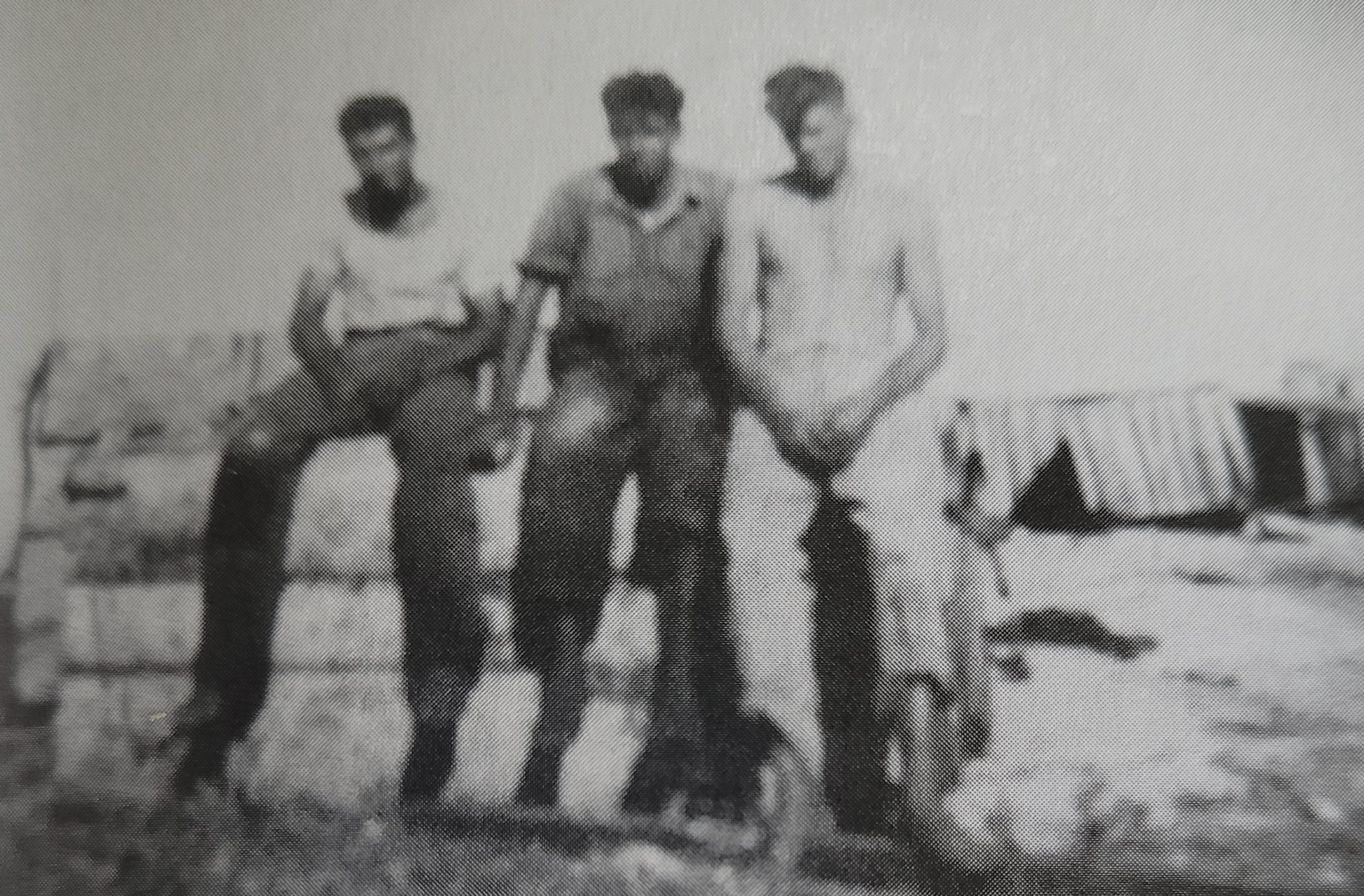 Angelo and Alf Valenti and Brass Davis