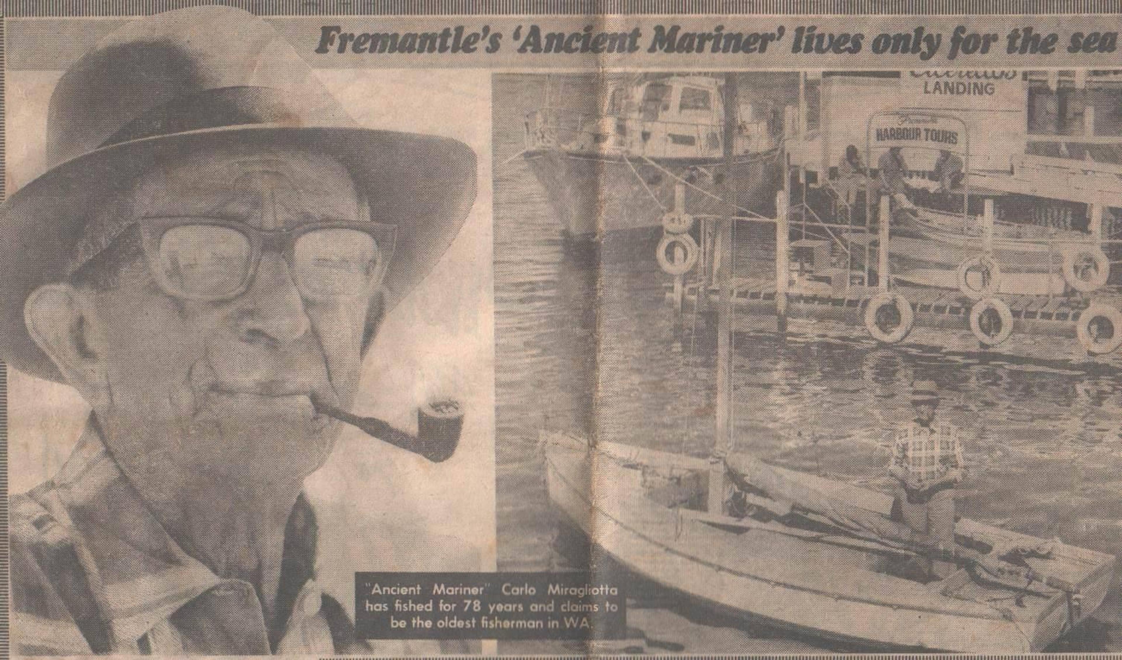 Tribute Article 1987