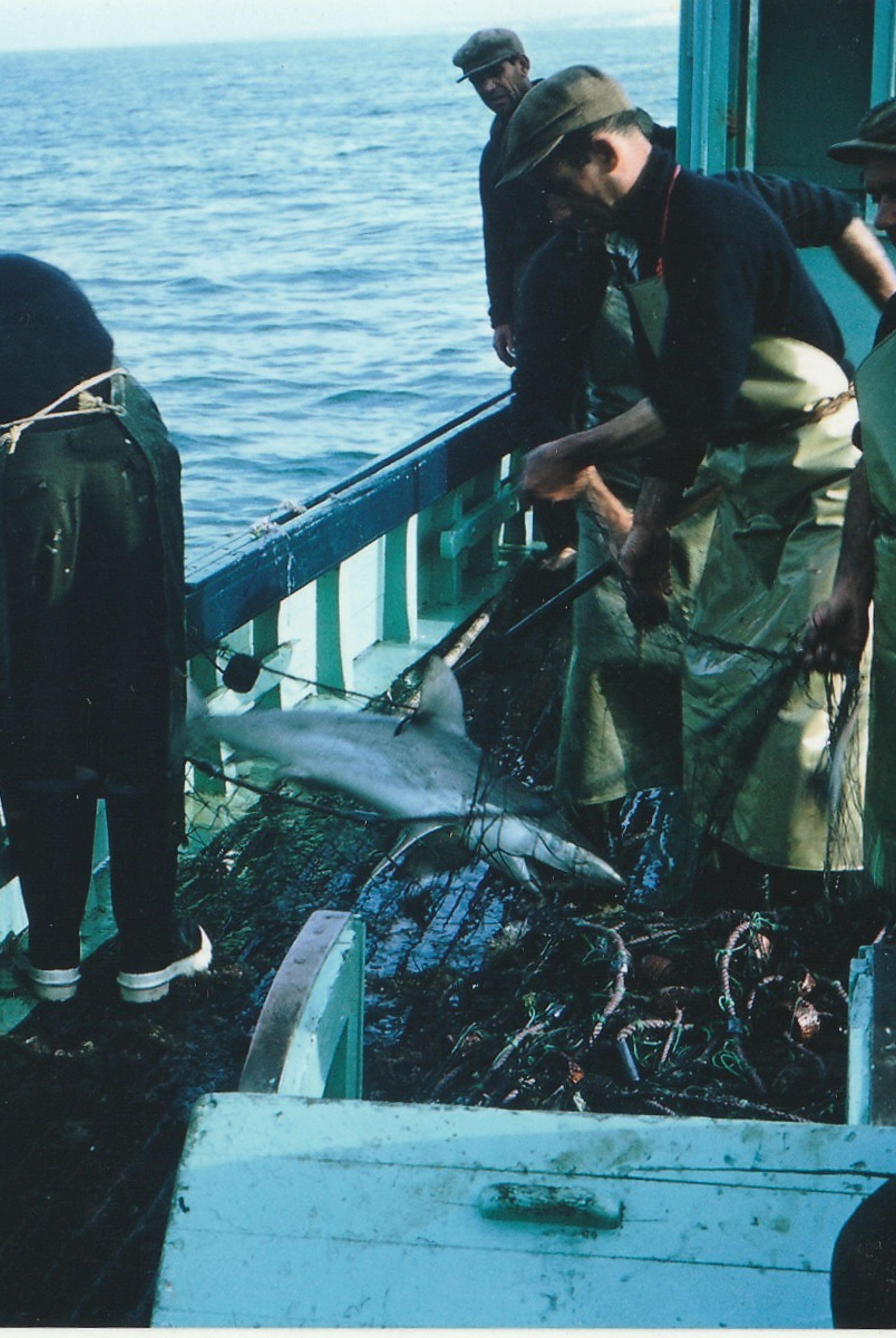 Photo of the fishing deck on Messina with catch onboard