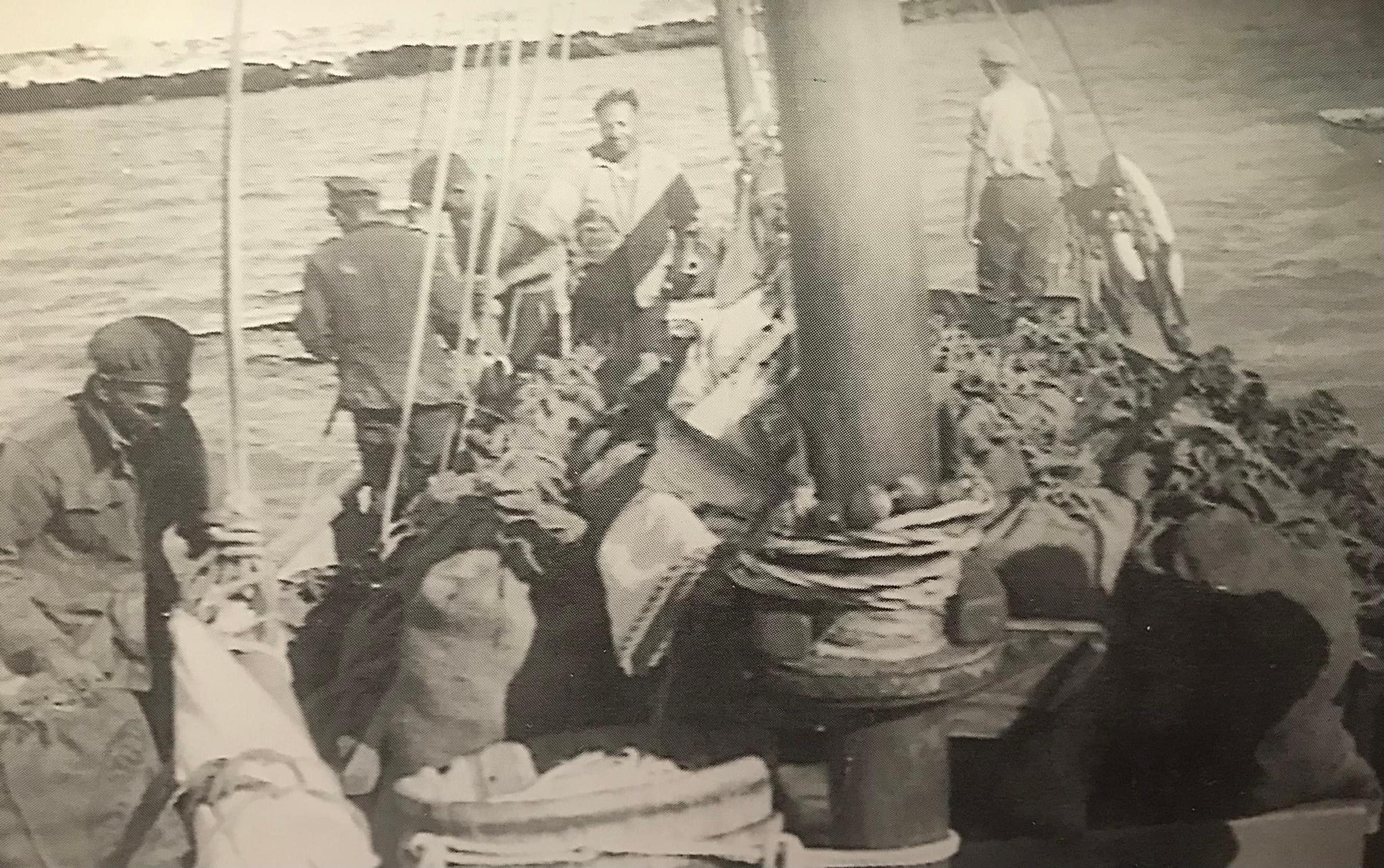 Front to Stern Victor Basile, Tinny Bombara, Frank Travia and Gaetano Travia on the tiller