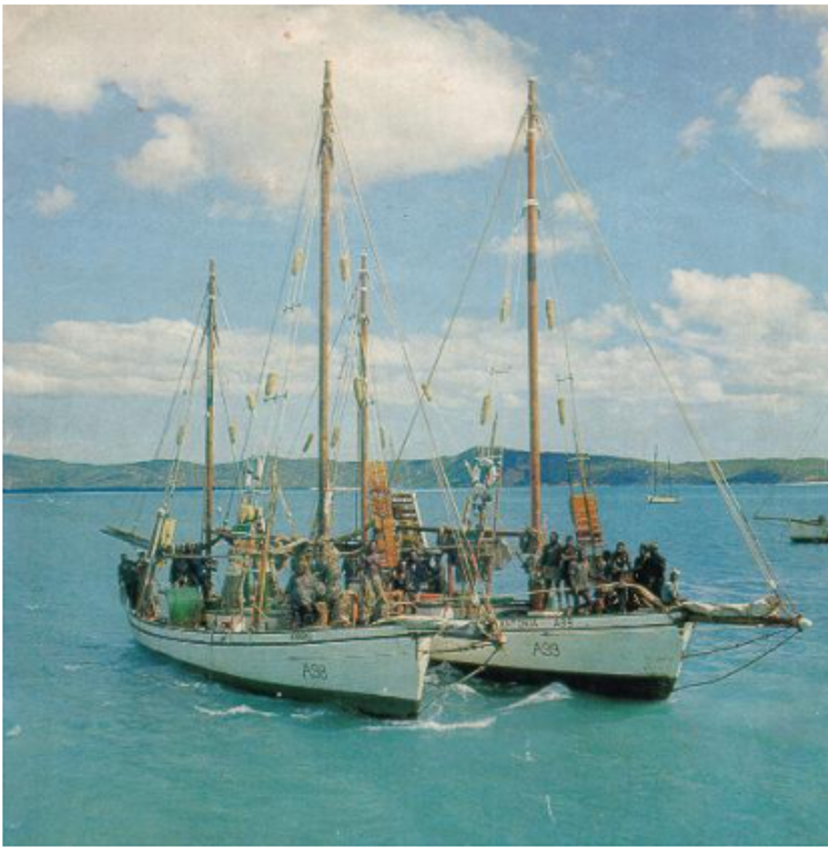 AE Browne built luggers Photo from ARHV Sea Museum