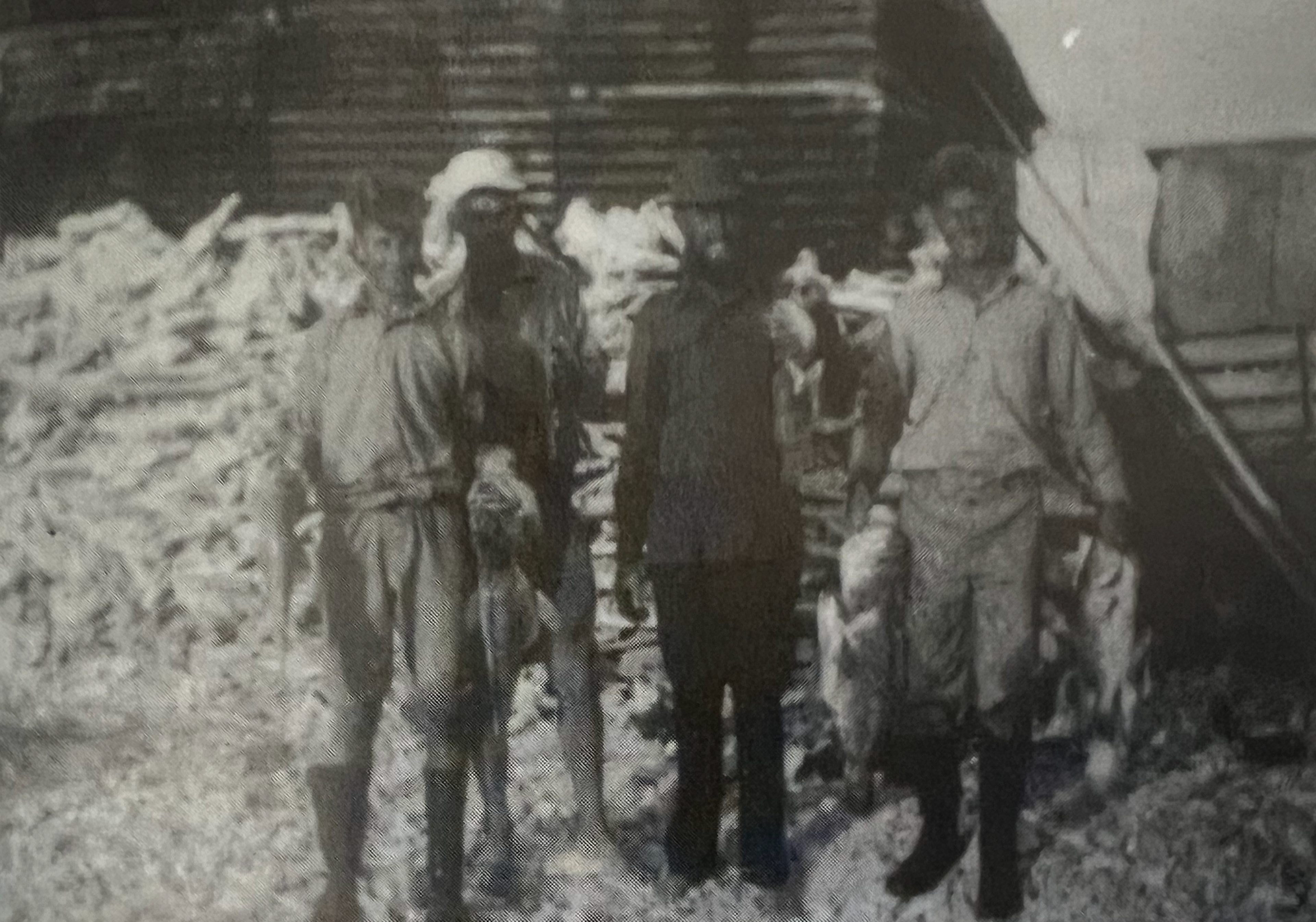 Fiddle Hancock, Ray Page, Bill Newbold, Colin Hancock on Basile Island