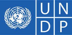 Программа развития Организации Объединенных Наций (UNDP)