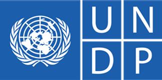 Программа развития Организации Объединенных Наций (UNDP)
