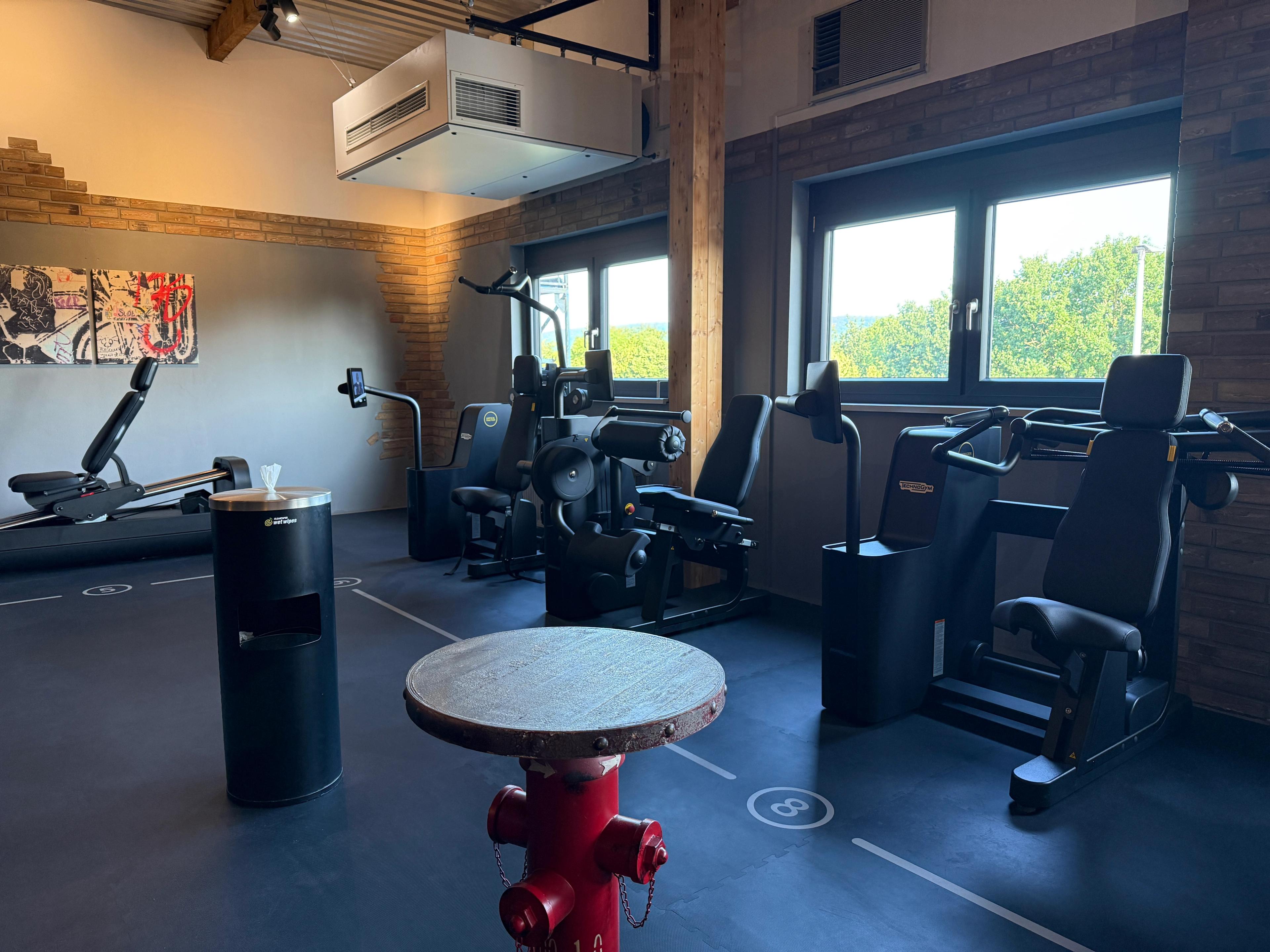 Ein modernes Fitnessstudio mit verschiedenen professionellen Trainingsgeräten und großen Fenstern