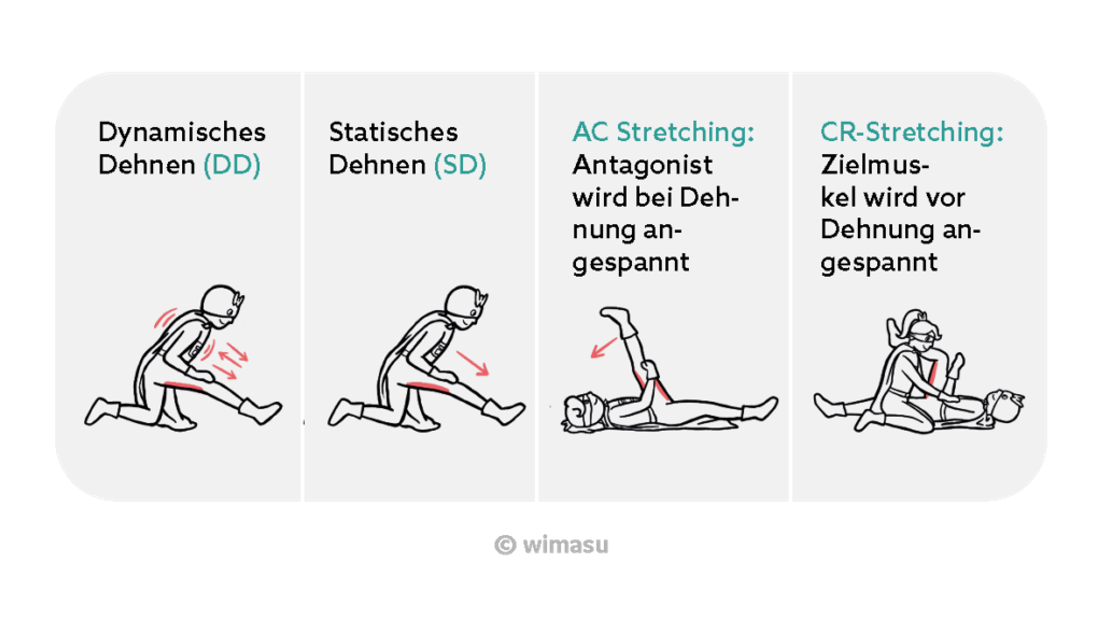 Vier Illustrationen zeigen Dynamisches Dehnen, Statisches Dehnen, AC-Stretching und CR-Stretching mit erklärenden Beschriftungen auf Deutsch