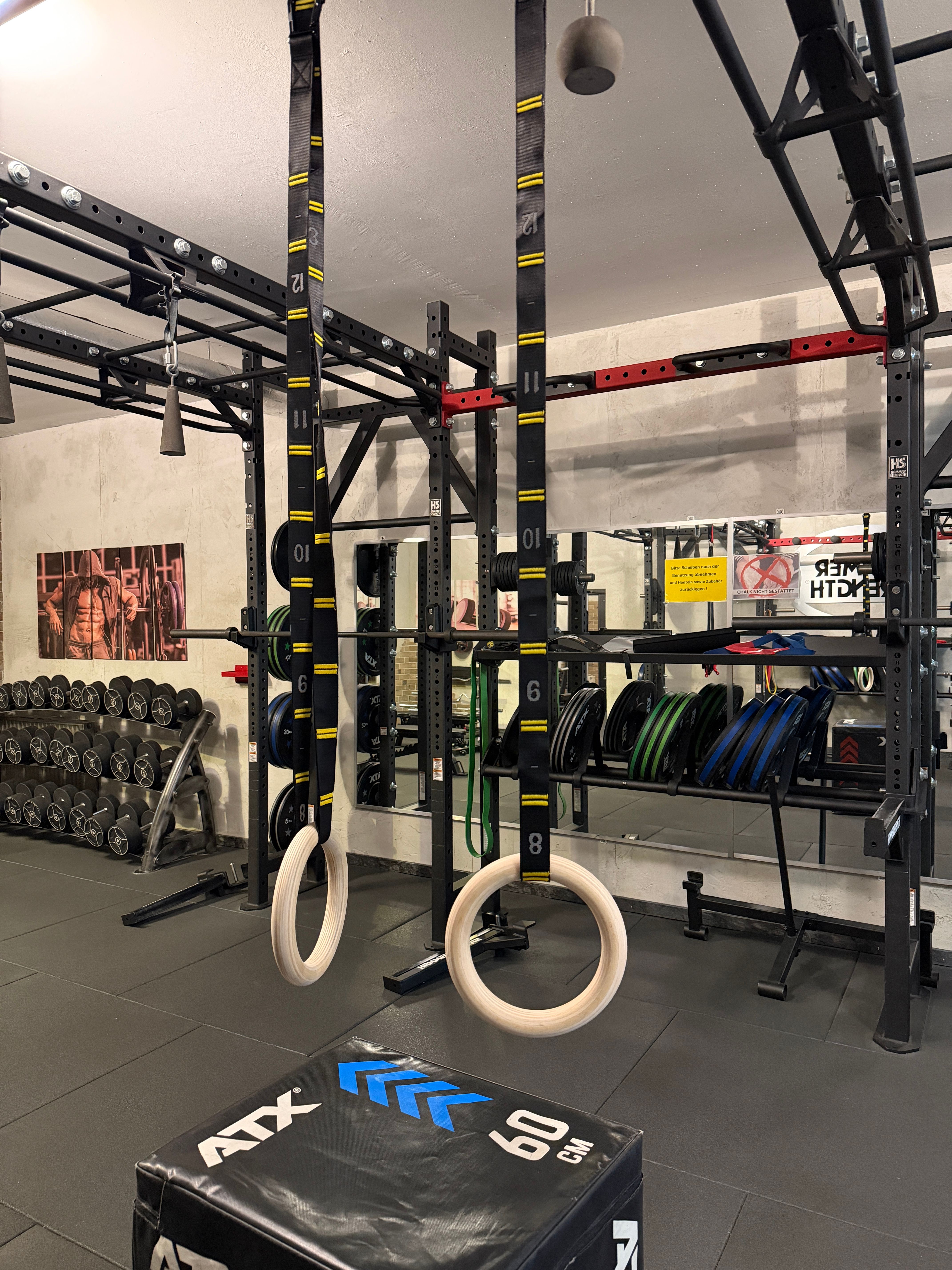 Ein Paar Holzringe an schwarzen Trainingsriemen mit gelben Markierungen hängen vor einem Metall-Rack mit Hantelscheiben und einer Plyo-Box.