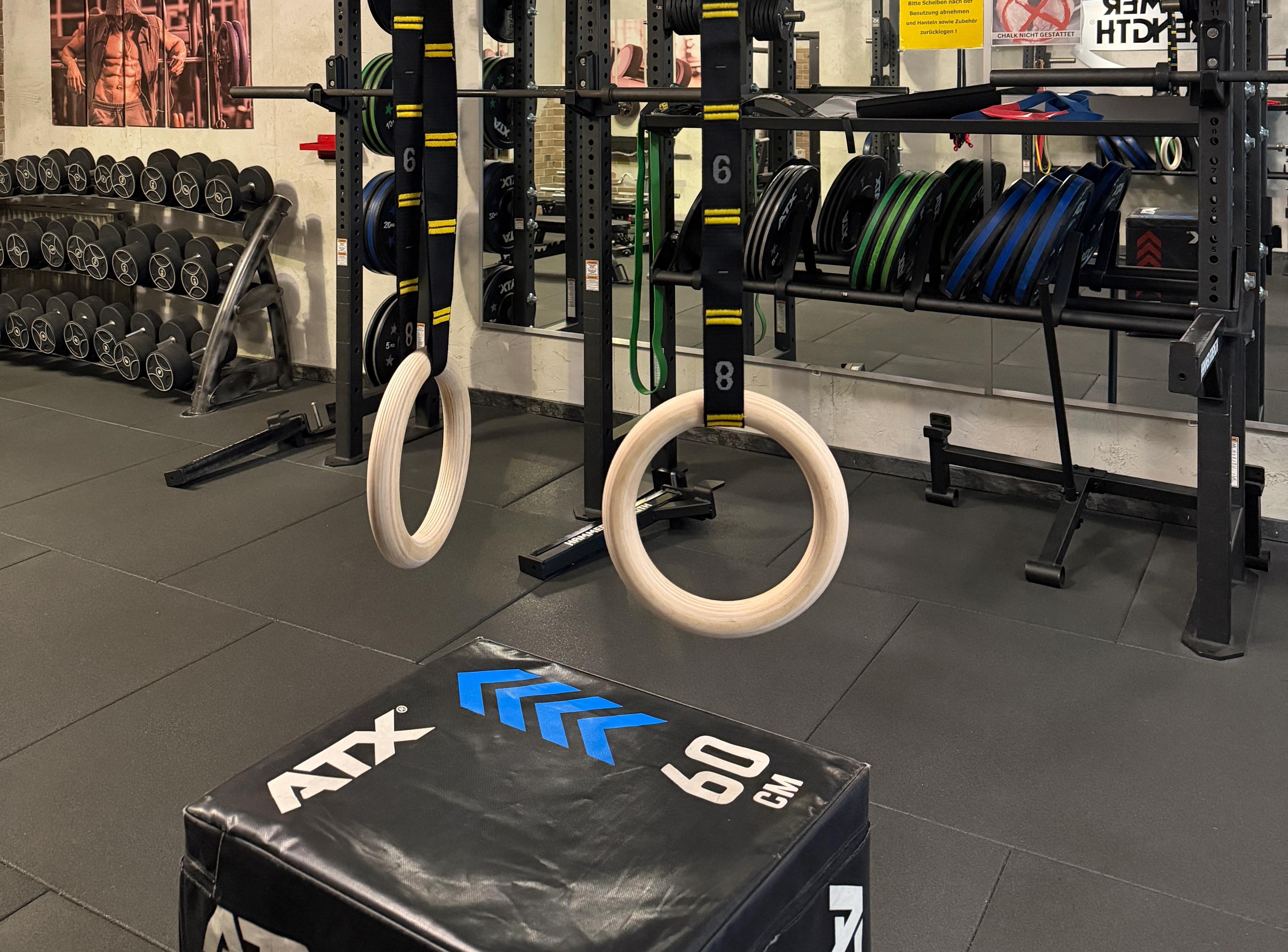 Ein Paar Holzringe an schwarzen Trainingsriemen mit gelben Markierungen hängen vor einem Metall-Rack mit Hantelscheiben und einer Plyo-Box.
