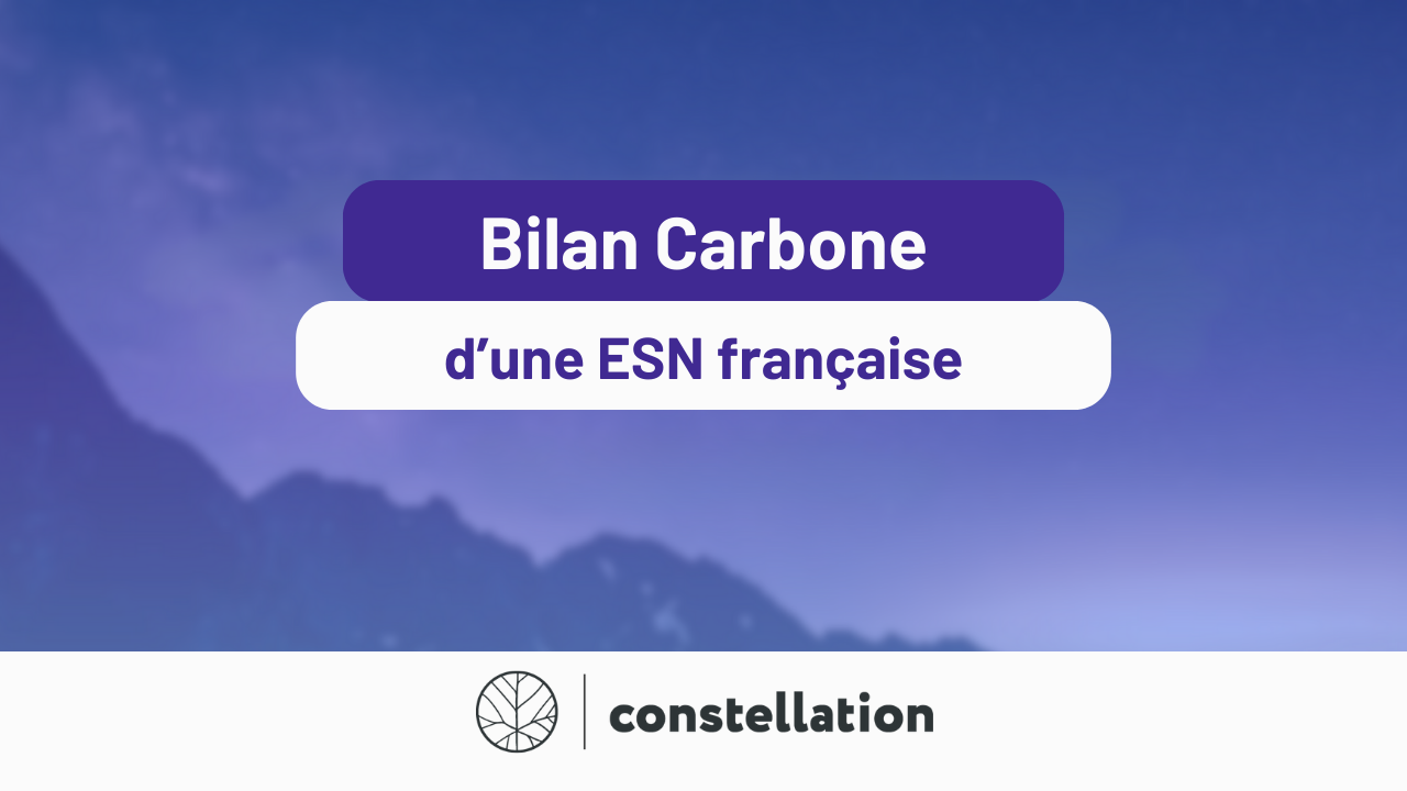 Témoignage d’une ESN française sur son Bilan Carbone