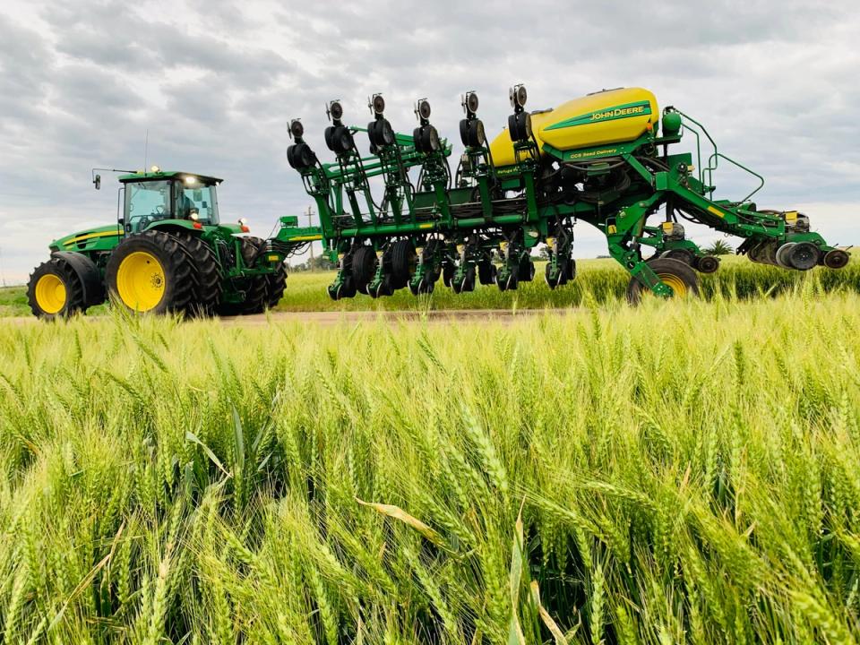 Tractor con sembradora de grano grueso junto a un trigo verde