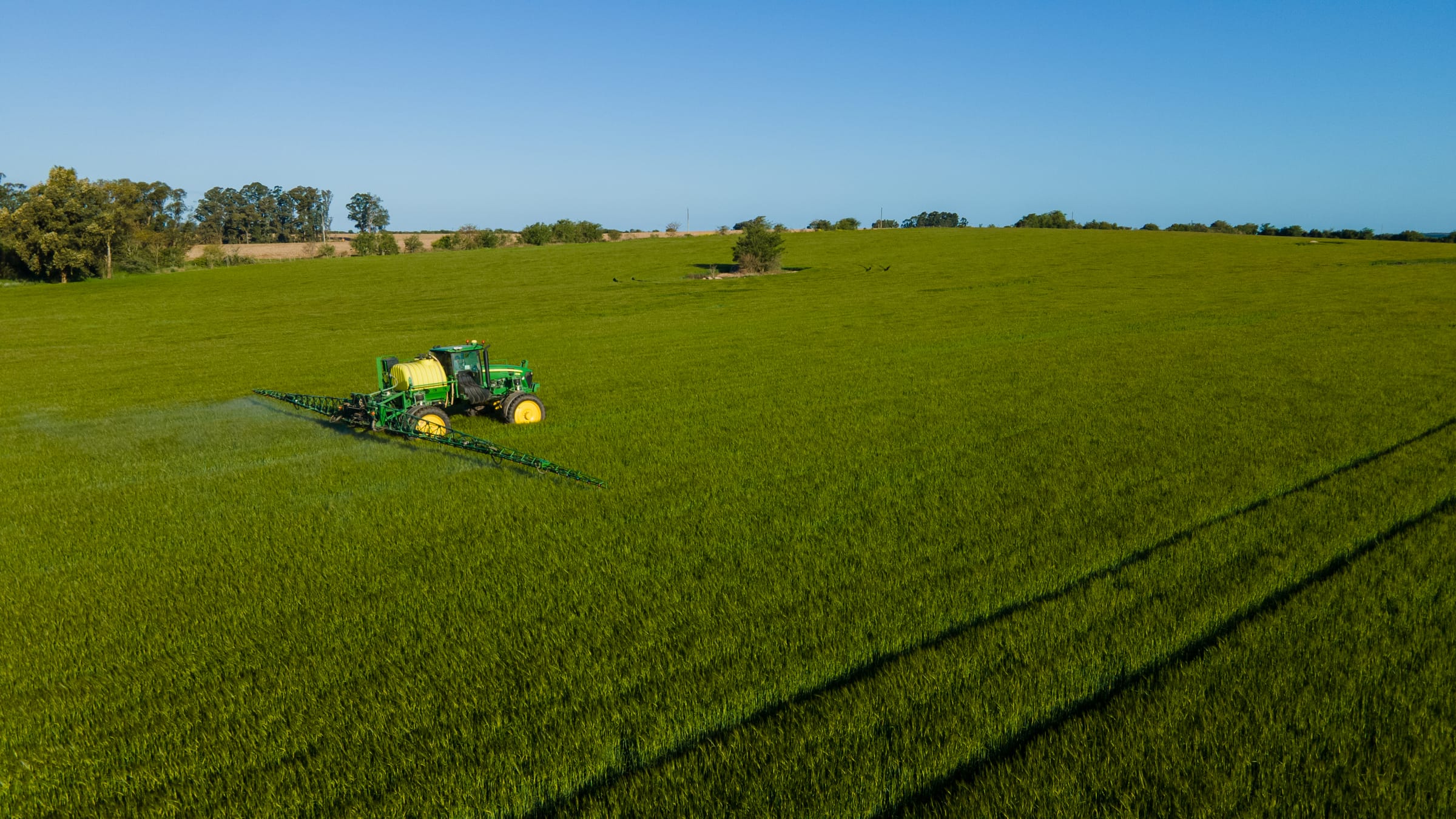 Pulverizadora aplicando en un cultivo verde, vista aérea