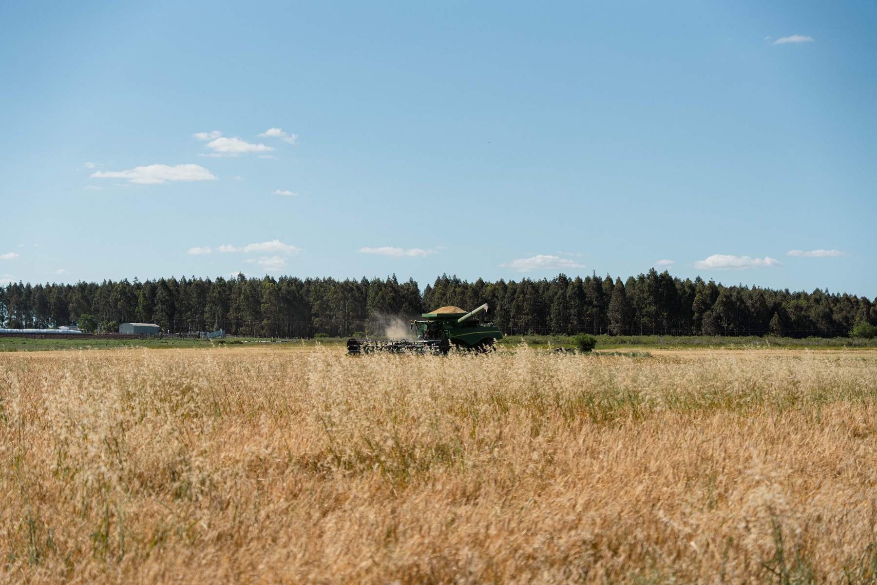 Case IH Axial-Flow 8250