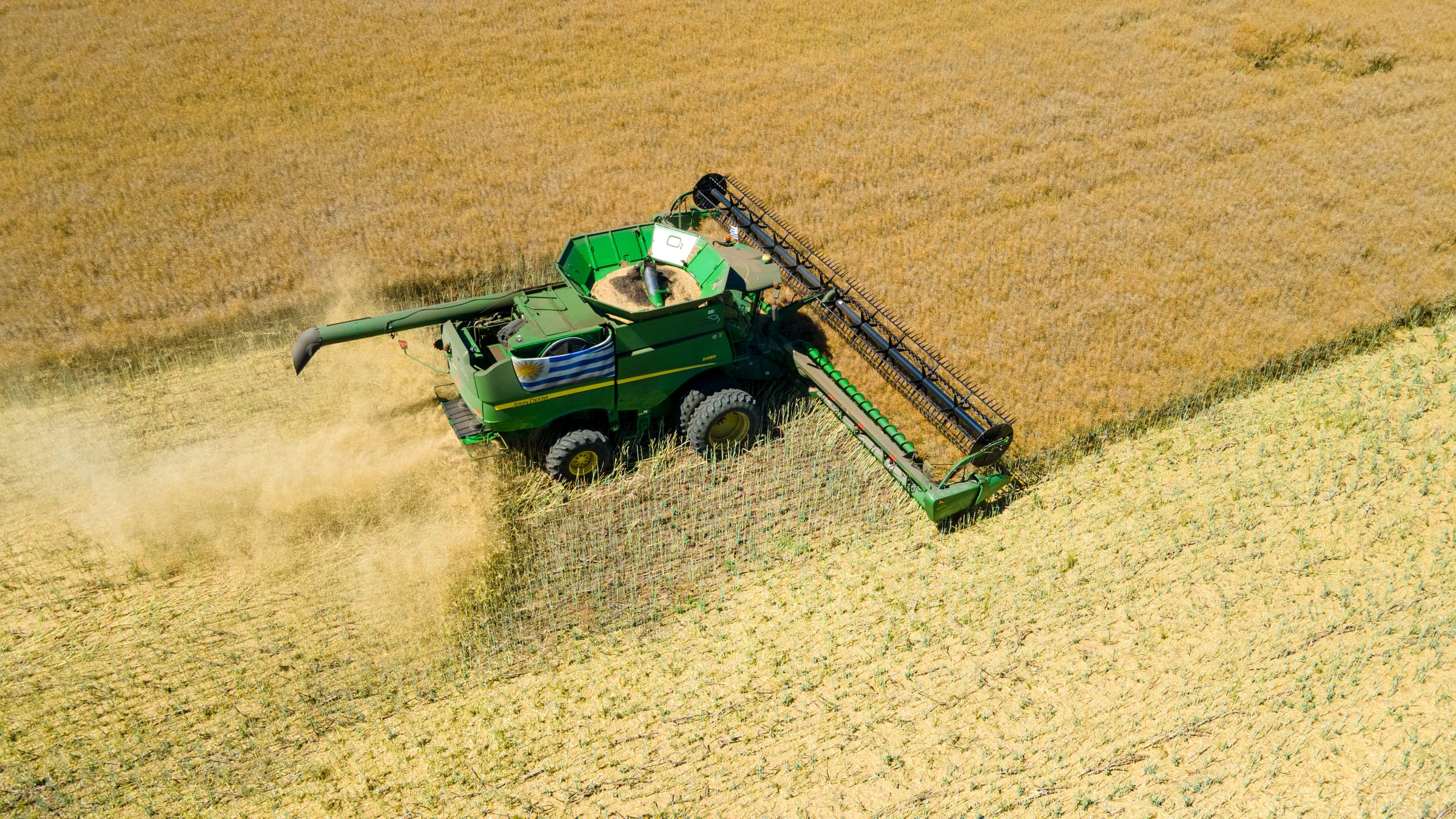 Cosechadora cortando el borde del cultivo, vista aérea