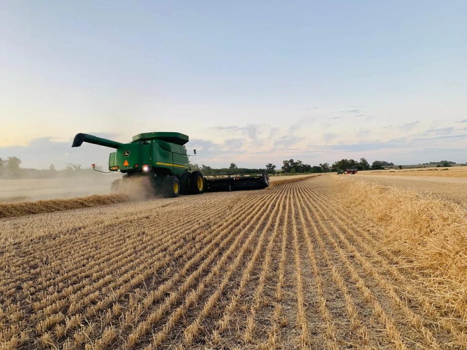 Cosechadora trabajando un lote de soja al caer la tarde