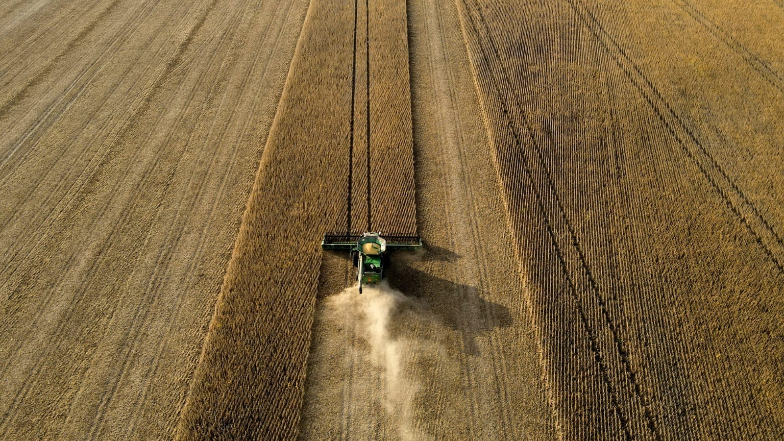 Cosechadora dejando una estela de polvo a lo largo del lote, vista desde arriba