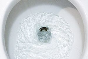 Signs That You Need Toilet Repair