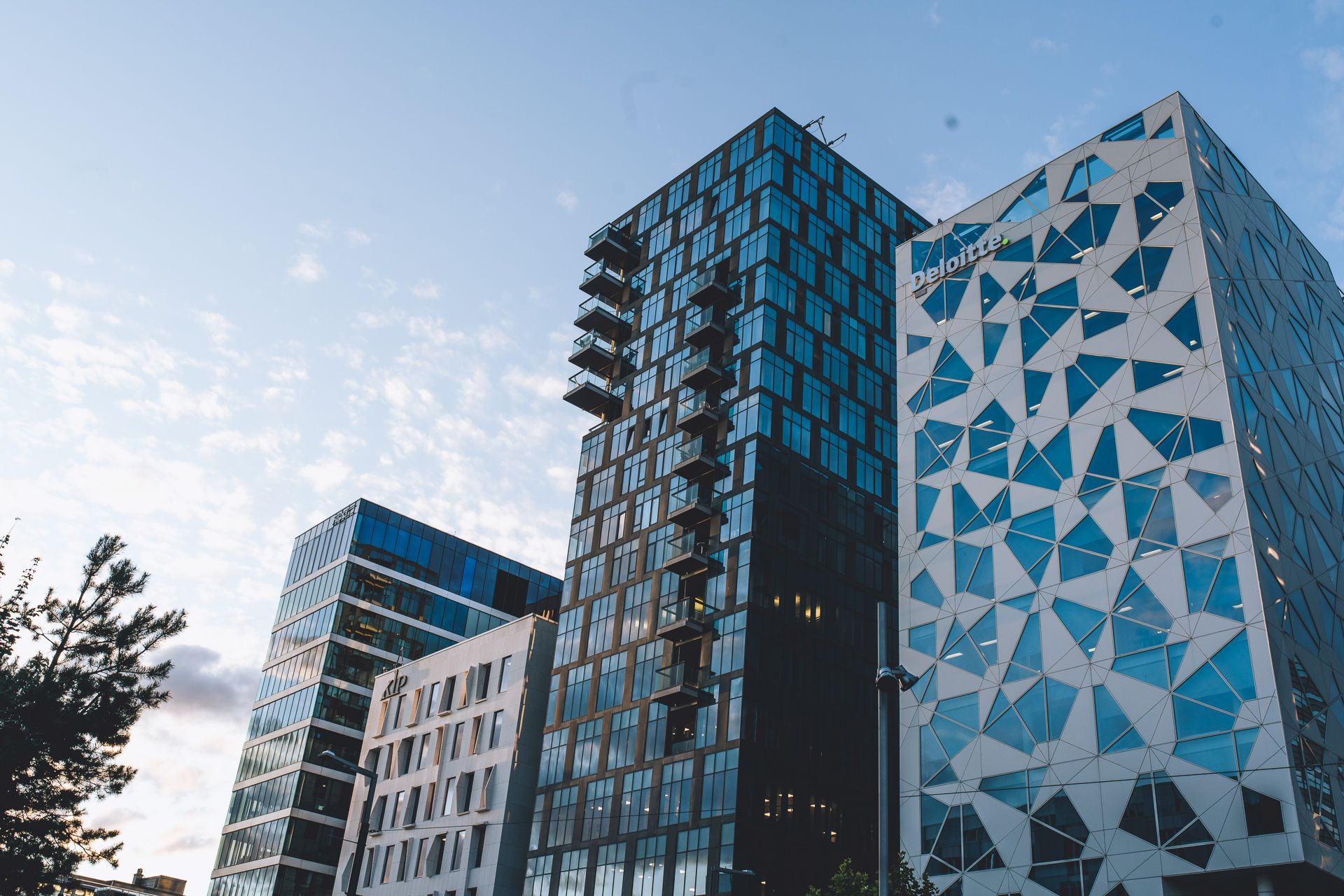 Utsikt nedenfra mot en samling høyhus i byen, blant annet et mørkt glasstårn, bygningen «KLP» og Deloitte-bygget med trekantmønstret fasade, med et tre i hjørnet av forgrunnen.